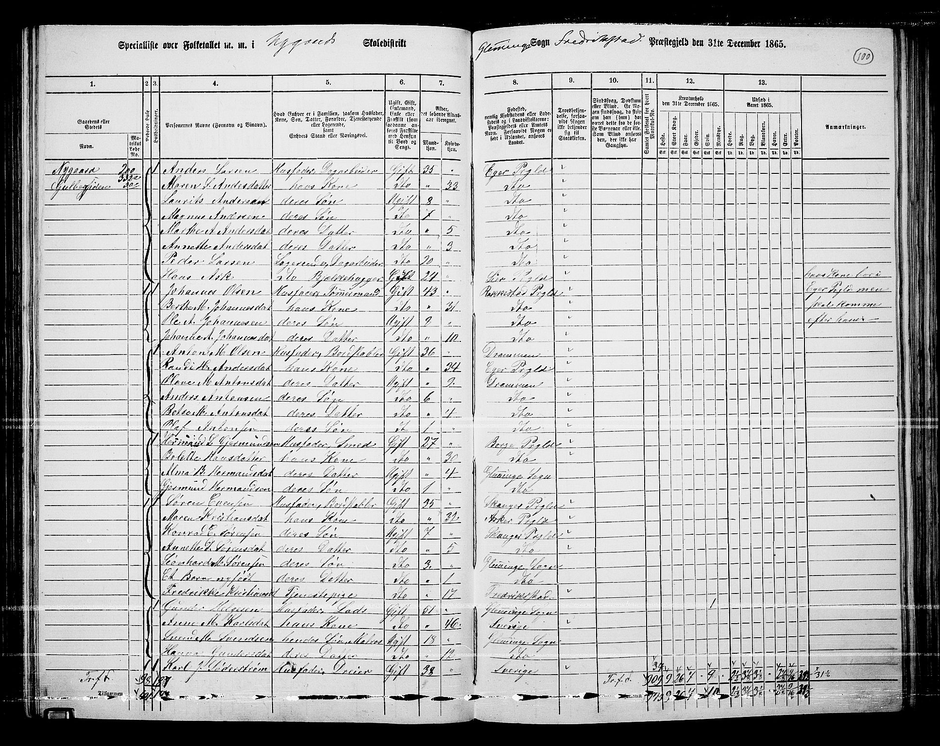 RA, 1865 census for Fredrikstad/Glemmen, 1865, p. 96
