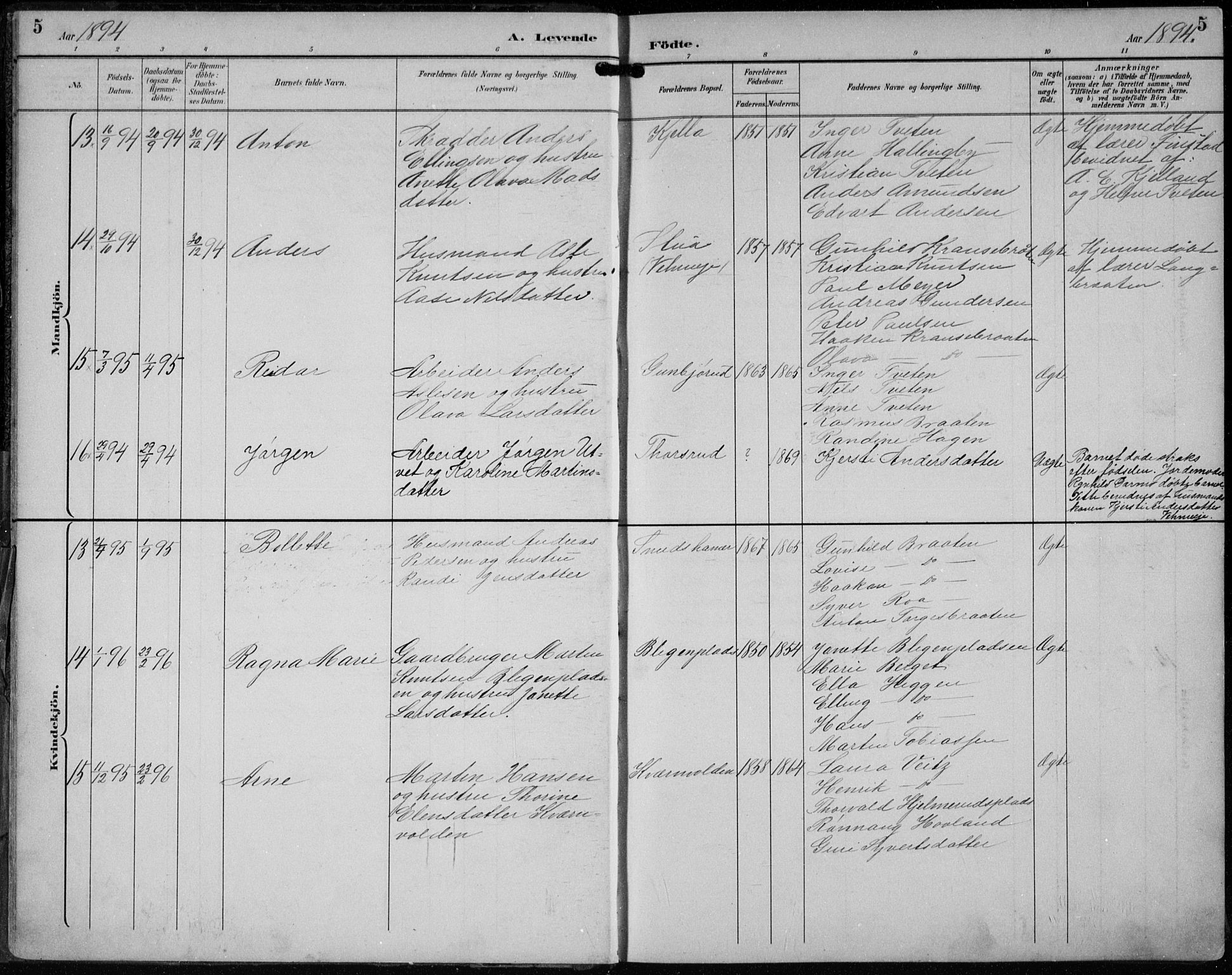 Lunder kirkebøker, AV/SAKO-A-629/F/Fb/L0001: Parish register (official) no. II 1, 1893-1916, p. 5