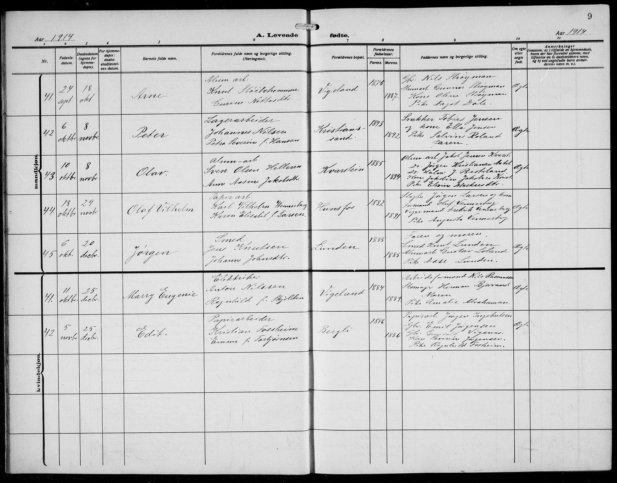 Vennesla sokneprestkontor, AV/SAK-1111-0045/Fb/Fbb/L0006: Parish register (copy) no. B 6, 1914-1921, p. 9