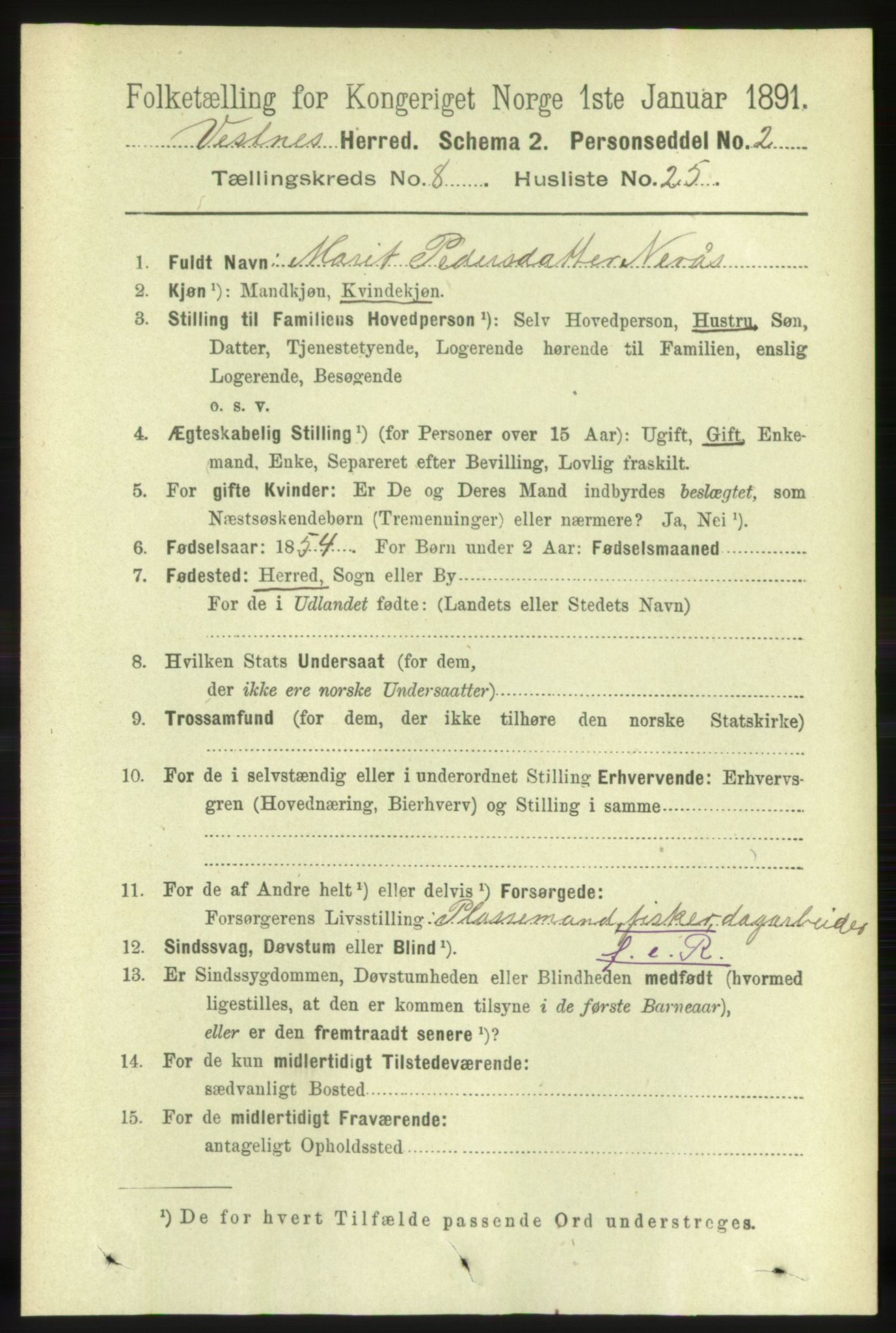 RA, 1891 census for 1535 Vestnes, 1891, p. 3295