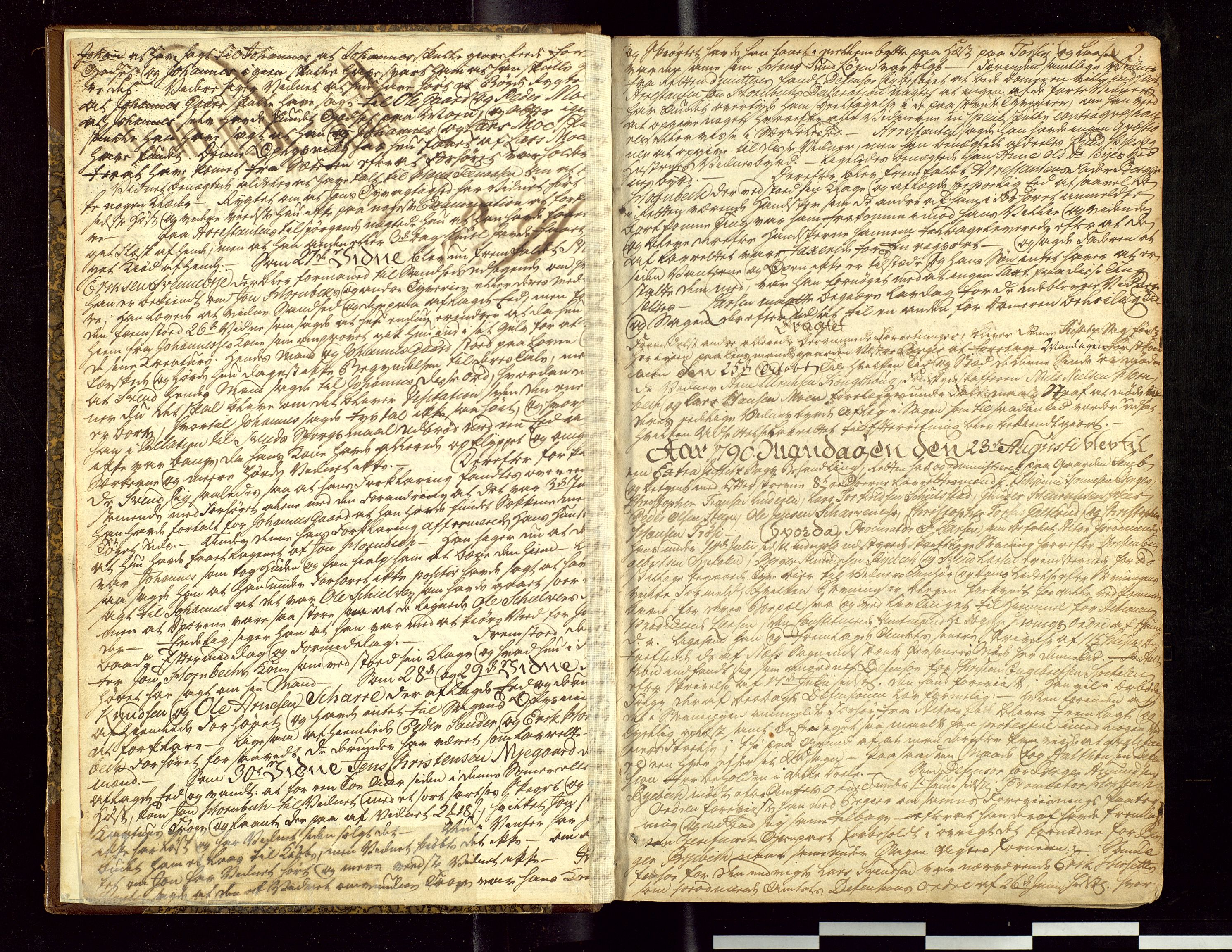 Solør og Odalen sorenskriveri, AV/SAH-TING-026/G/Gc/Gca/L0005: Justis- og politisaker, 1790-1792, p. 2