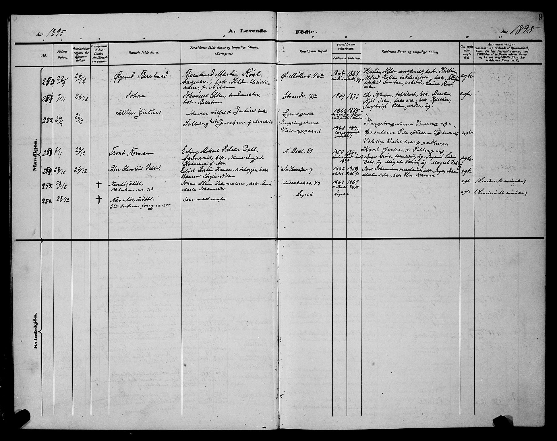 Ministerialprotokoller, klokkerbøker og fødselsregistre - Sør-Trøndelag, SAT/A-1456/604/L0225: Parish register (copy) no. 604C08, 1895-1899, p. 9