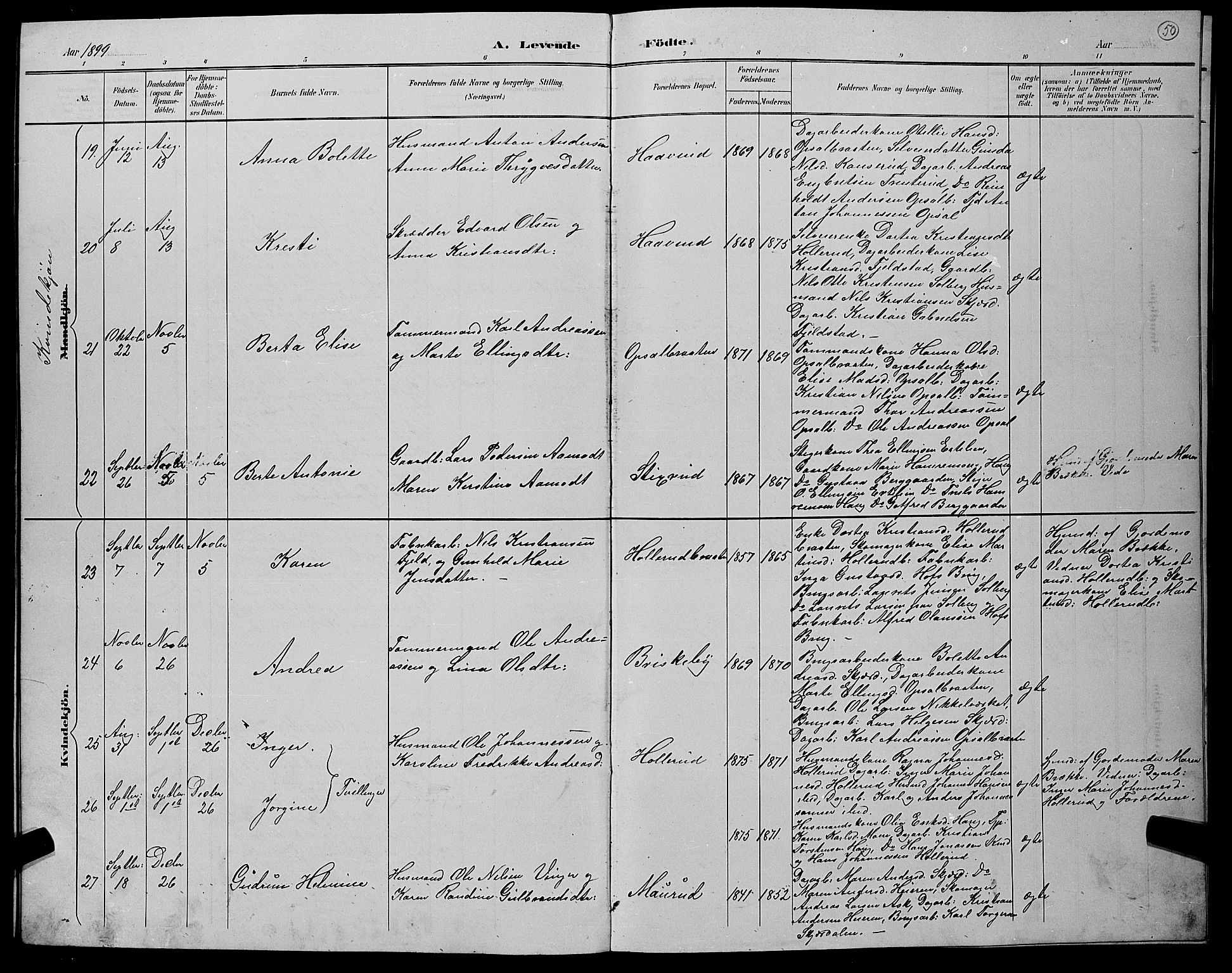 Hole kirkebøker, AV/SAKO-A-228/G/Gb/L0003: Parish register (copy) no. II 3, 1890-1901, p. 50