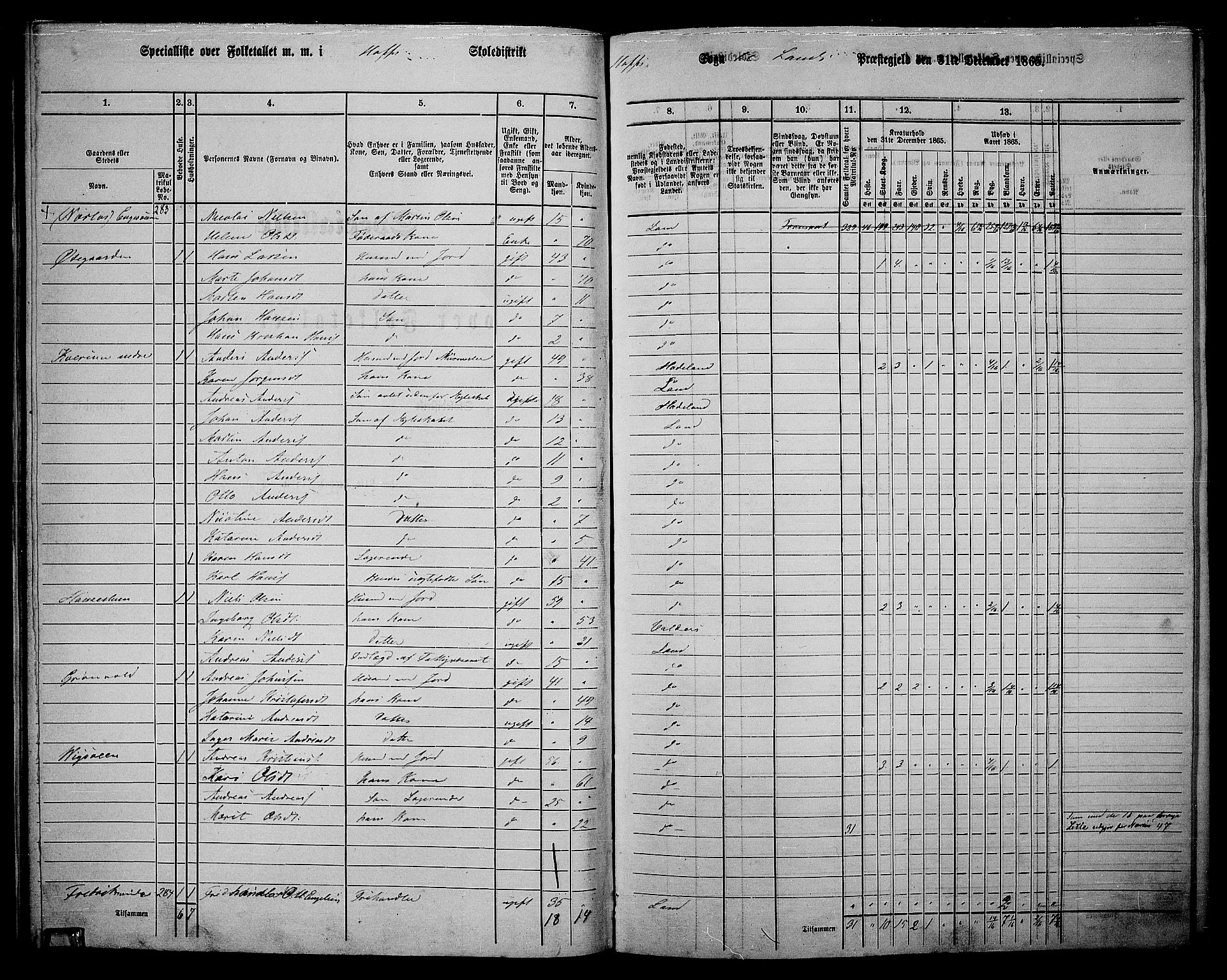 RA, 1865 census for Land, 1865, p. 317