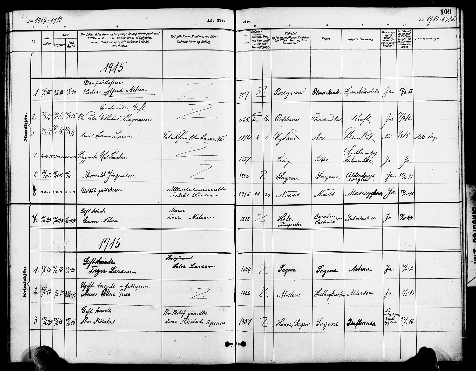 Austre Moland sokneprestkontor, SAK/1111-0001/F/Fb/Fbb/L0002: Parish register (copy) no. B 2, 1894-1918, p. 109
