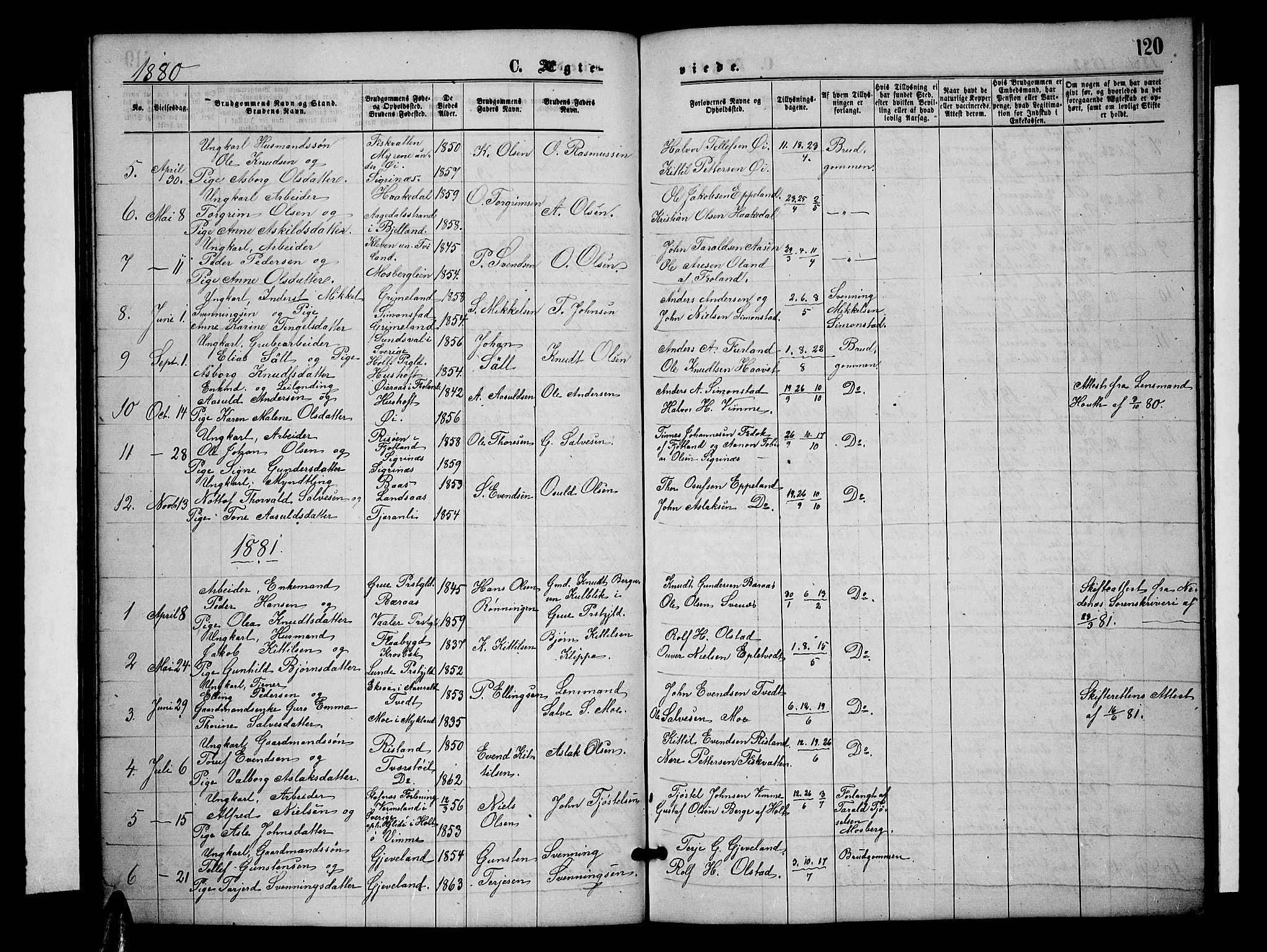 Åmli sokneprestkontor, SAK/1111-0050/F/Fb/Fbc/L0003: Parish register (copy) no. B 3, 1868-1888, p. 120