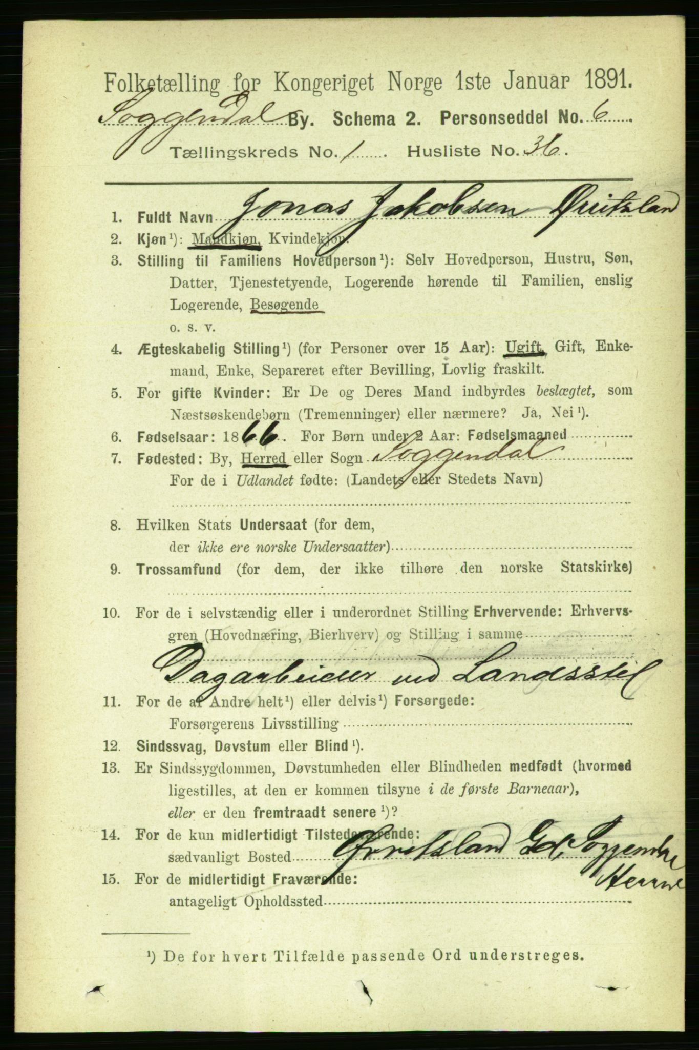 RA, 1891 census for 1107 Sokndal, 1891, p. 207