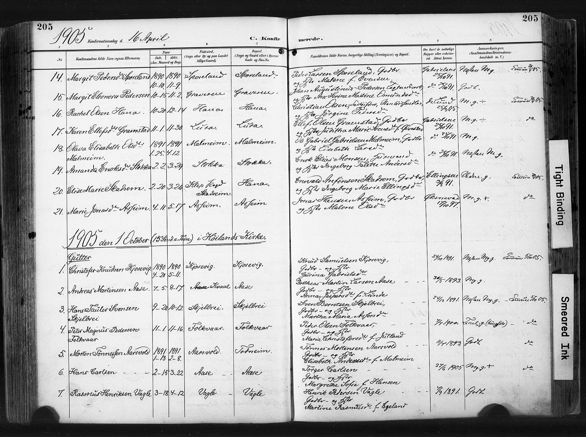 Høyland sokneprestkontor, AV/SAST-A-101799/001/30BA/L0015: Parish register (official) no. A 14, 1899-1911, p. 205