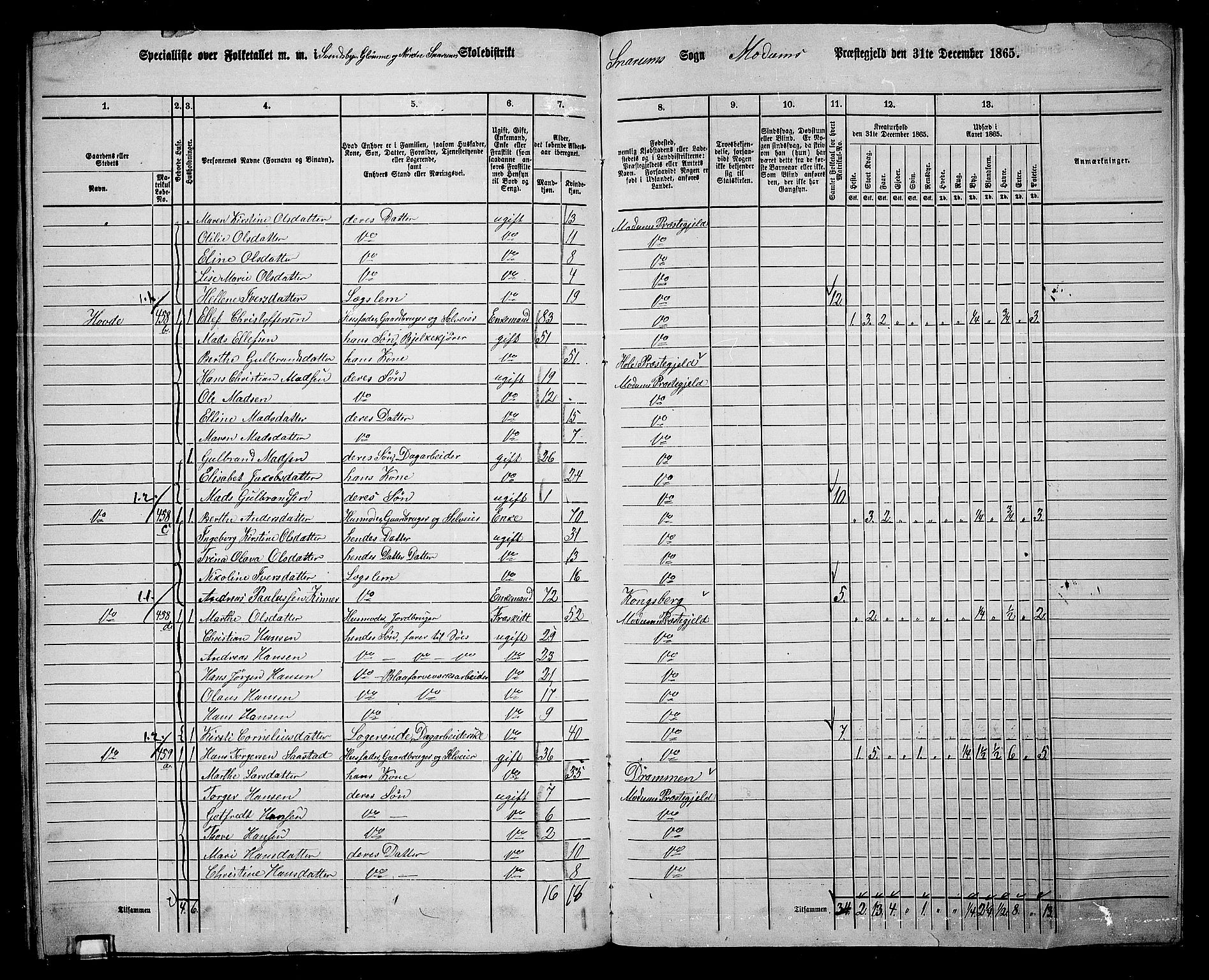 RA, 1865 census for Modum, 1865, p. 326