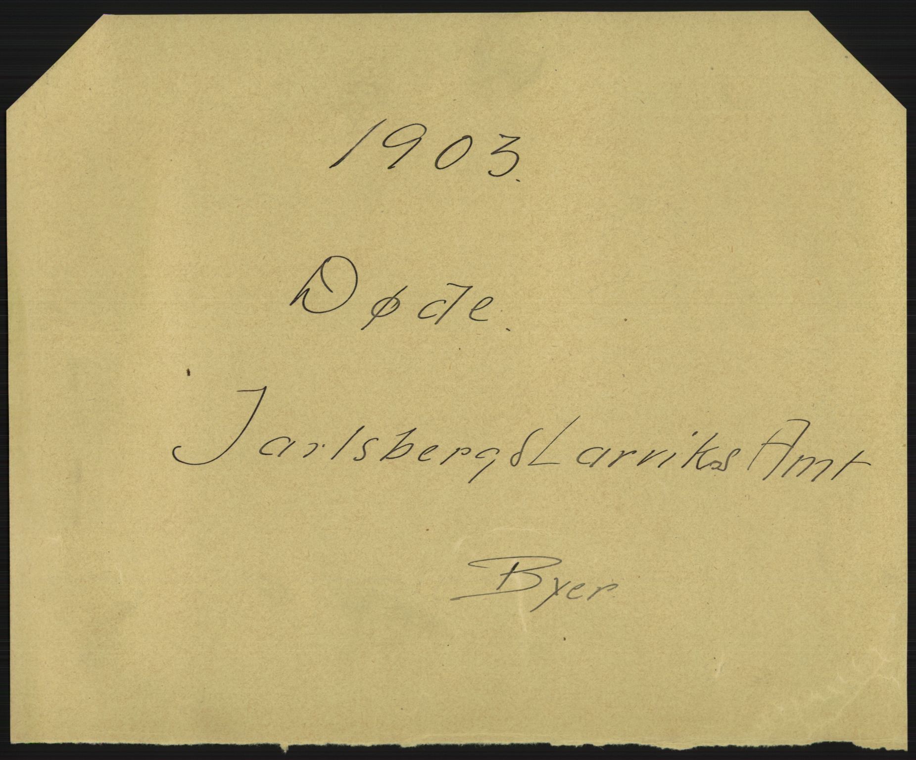 Statistisk sentralbyrå, Sosiodemografiske emner, Befolkning, RA/S-2228/D/Df/Dfa/Dfaa/L0008: Jarlsberg og Larvik amt: Fødte, gifte, døde, 1903, p. 637