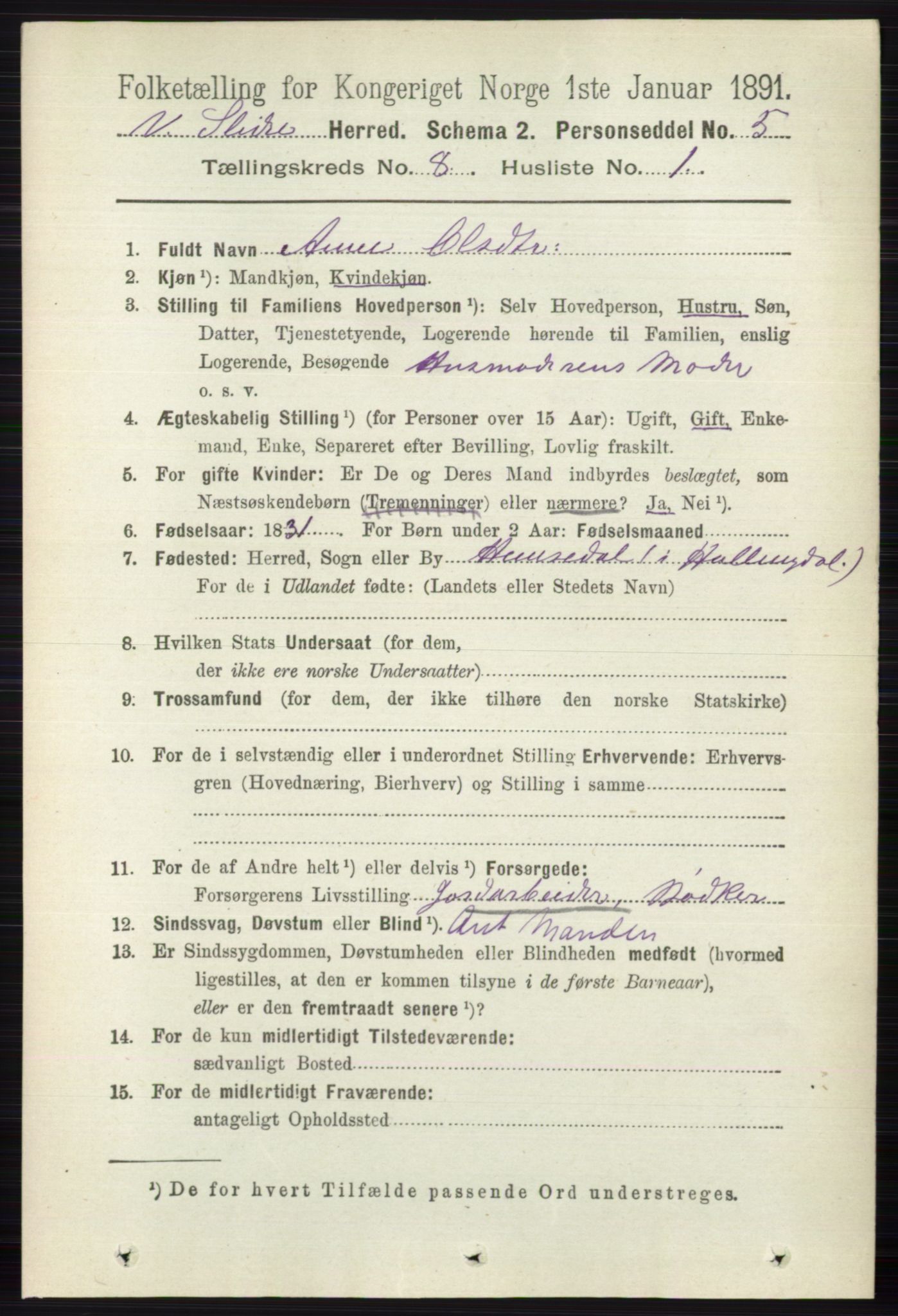 RA, 1891 census for 0543 Vestre Slidre, 1891, p. 2988