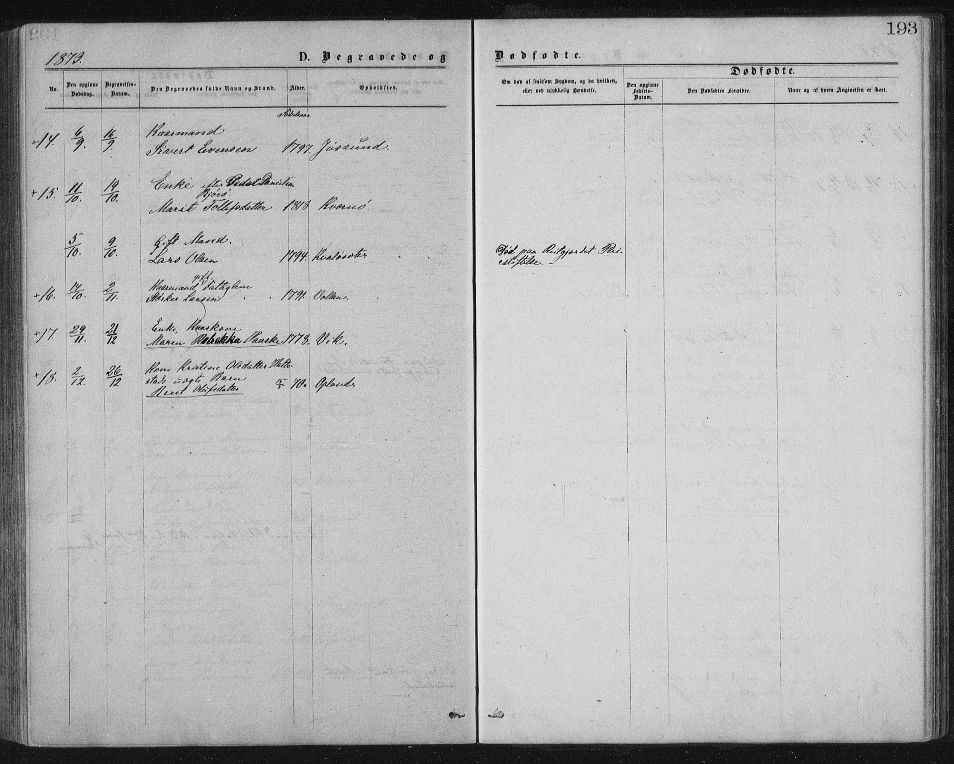Ministerialprotokoller, klokkerbøker og fødselsregistre - Nord-Trøndelag, SAT/A-1458/771/L0596: Parish register (official) no. 771A03, 1870-1884, p. 193