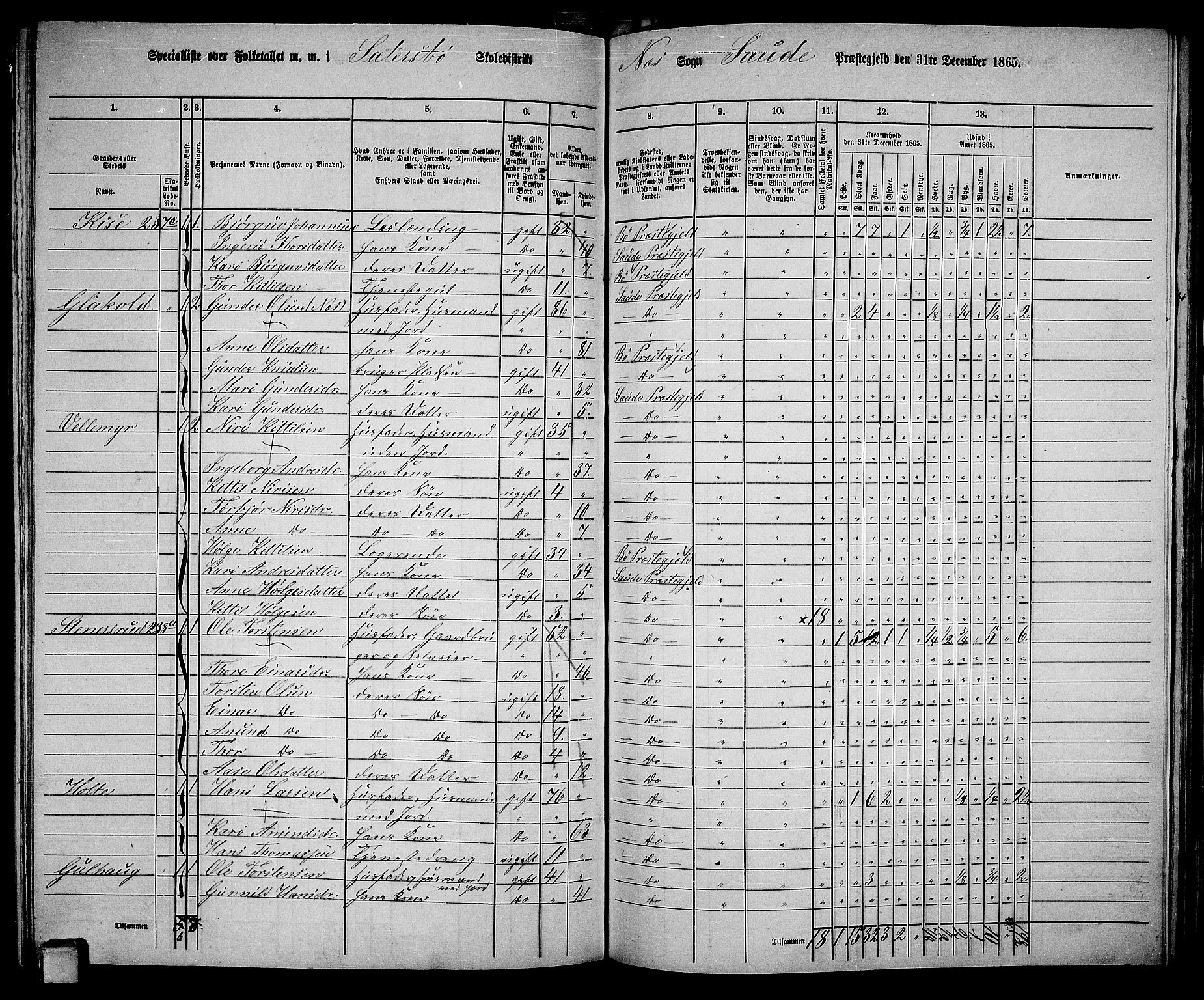 RA, 1865 census for Sauherad, 1865, p. 140