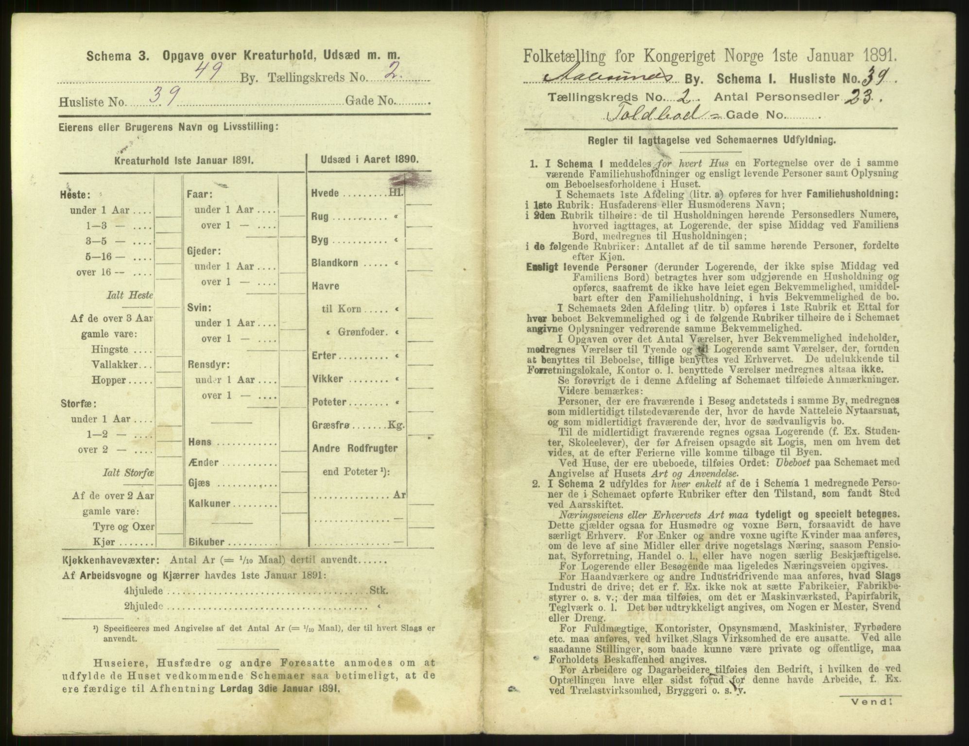 RA, 1891 census for 1501 Ålesund, 1891, p. 198