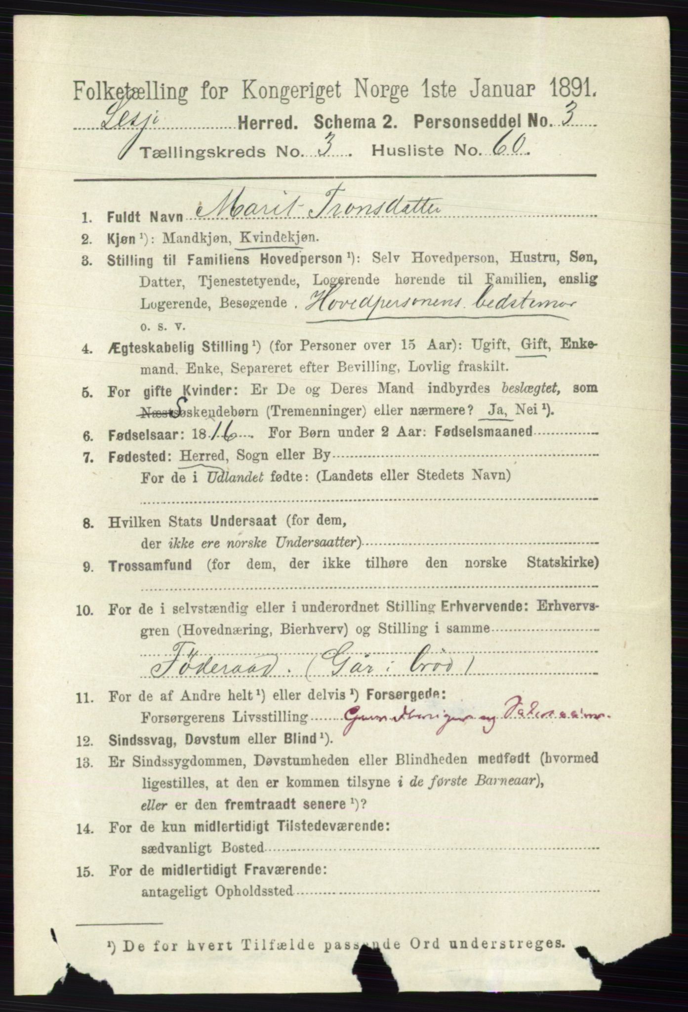 RA, 1891 census for 0512 Lesja, 1891, p. 1001