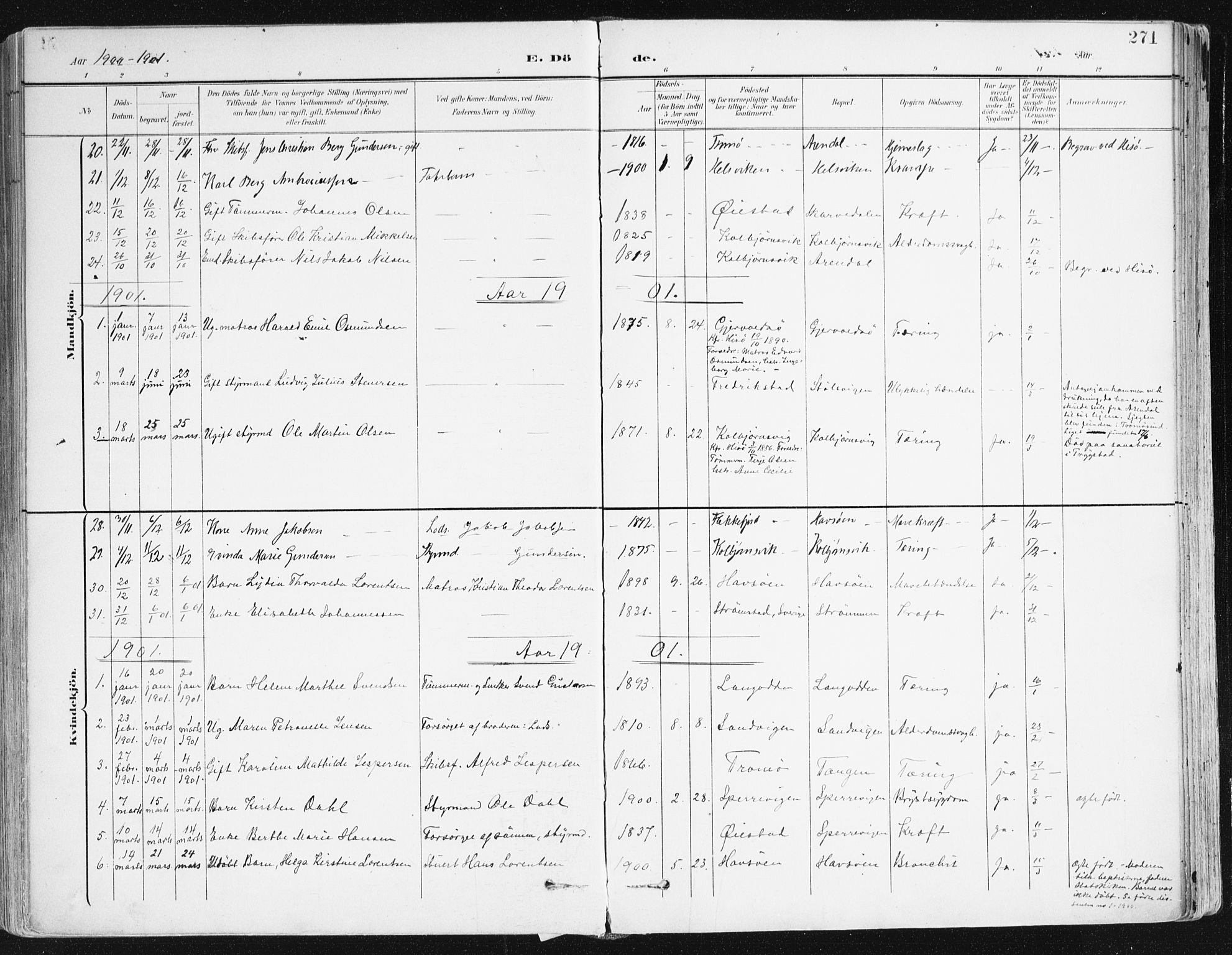 Hisøy sokneprestkontor, SAK/1111-0020/F/Fa/L0004: Parish register (official) no. A 4, 1895-1917, p. 271