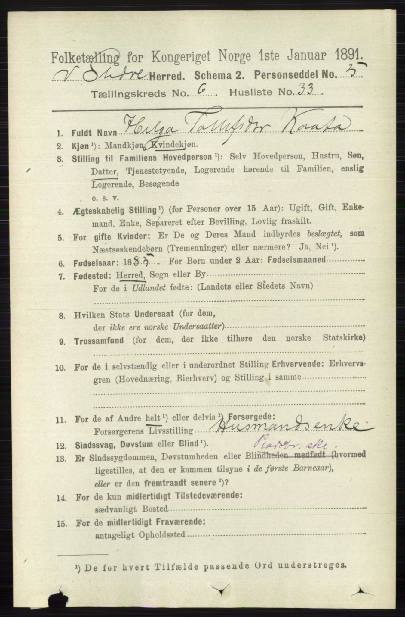 RA, 1891 census for 0543 Vestre Slidre, 1891, p. 2268