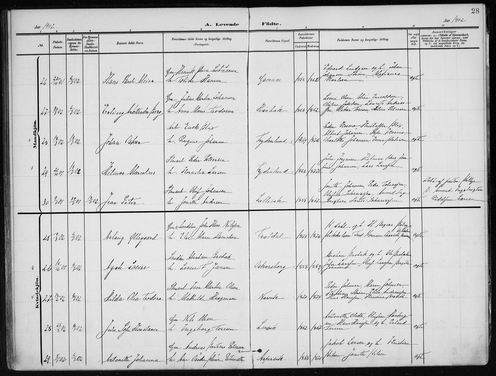 Ministerialprotokoller, klokkerbøker og fødselsregistre - Nordland, AV/SAT-A-1459/866/L0941: Parish register (official) no. 866A04, 1901-1917, p. 28