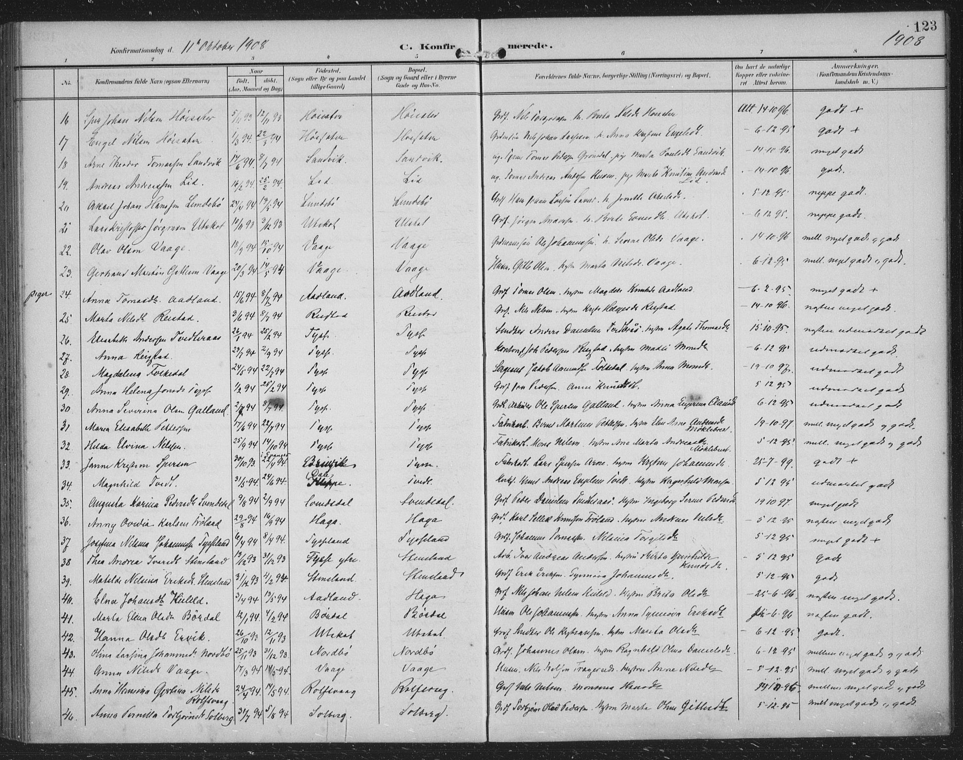 Samnanger Sokneprestembete, AV/SAB-A-77501/H/Haa: Parish register (official) no. A 2, 1902-1918, p. 123