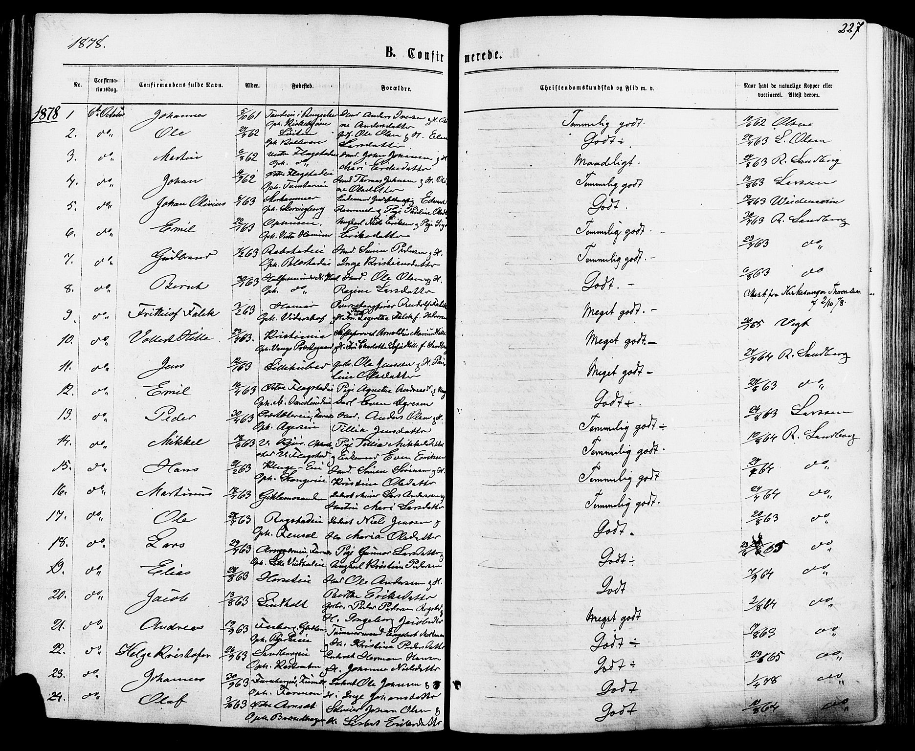 Vang prestekontor, Hedmark, AV/SAH-PREST-008/H/Ha/Haa/L0015: Parish register (official) no. 15, 1871-1885, p. 227