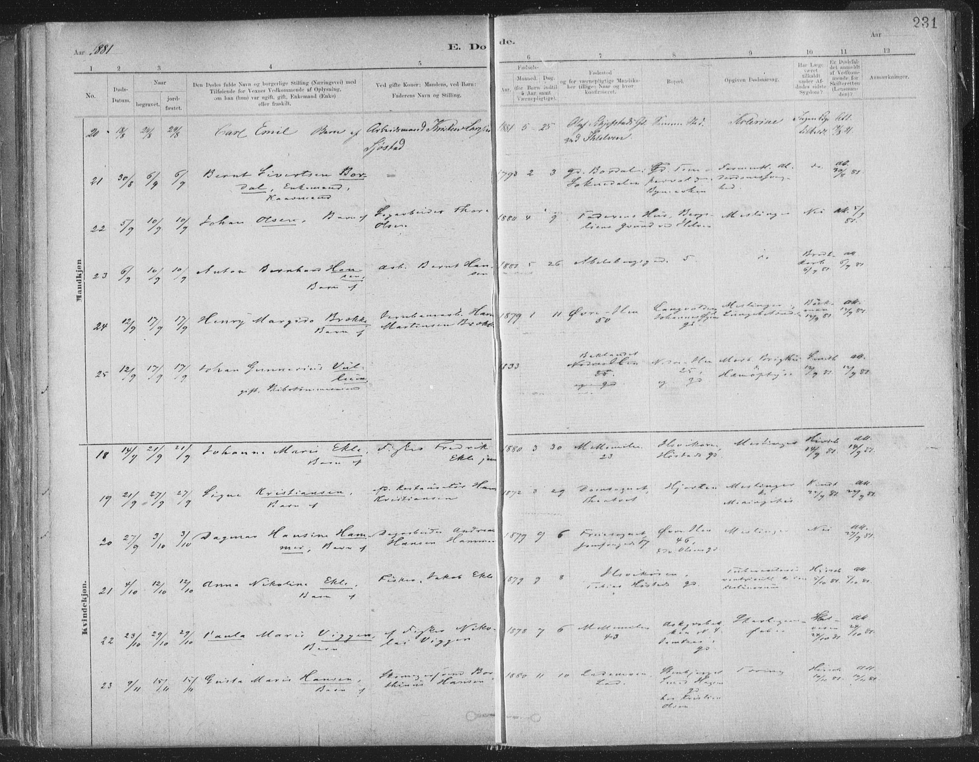 Ministerialprotokoller, klokkerbøker og fødselsregistre - Sør-Trøndelag, SAT/A-1456/603/L0162: Parish register (official) no. 603A01, 1879-1895, p. 231
