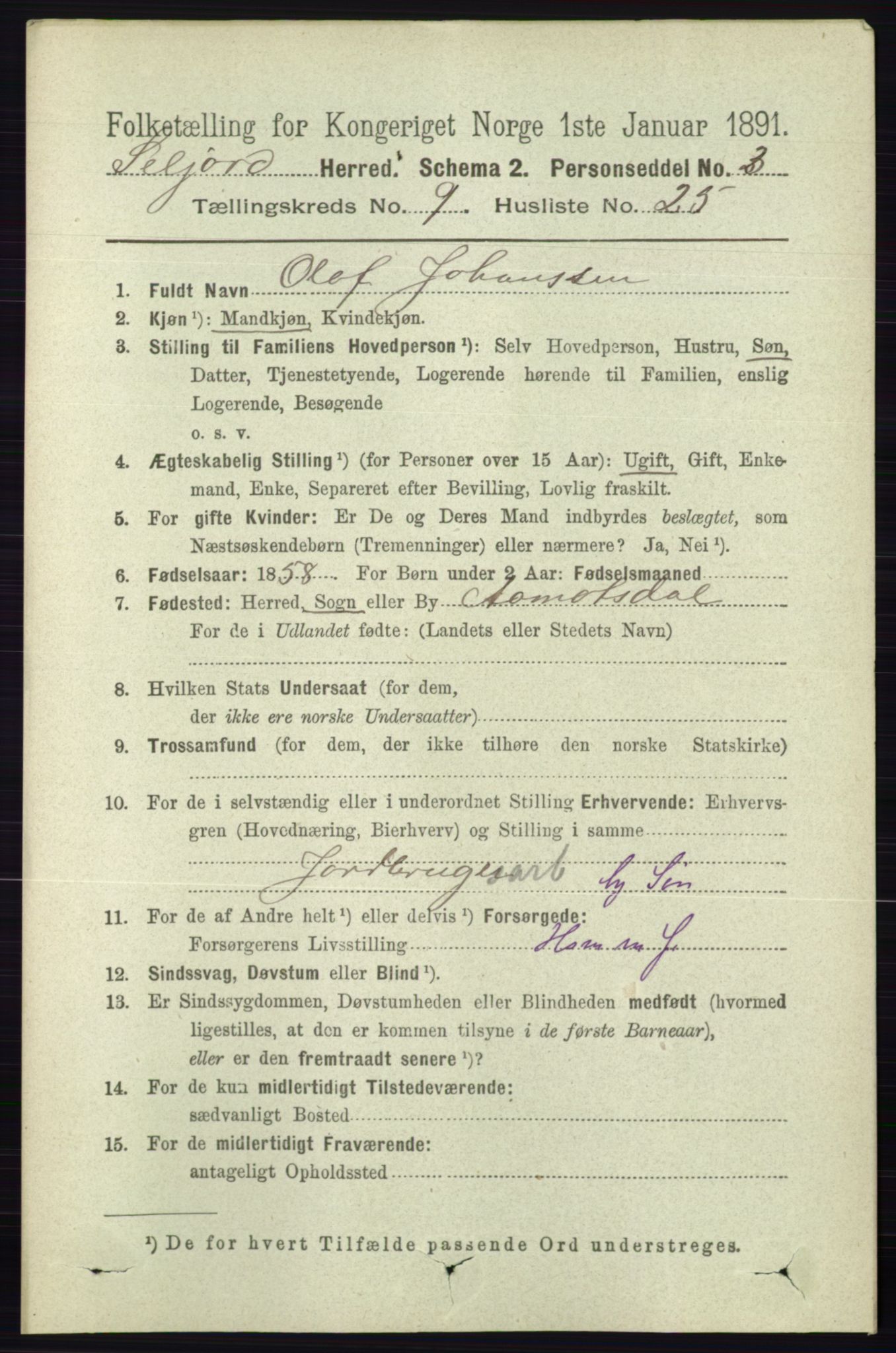 RA, 1891 census for 0828 Seljord, 1891, p. 3311