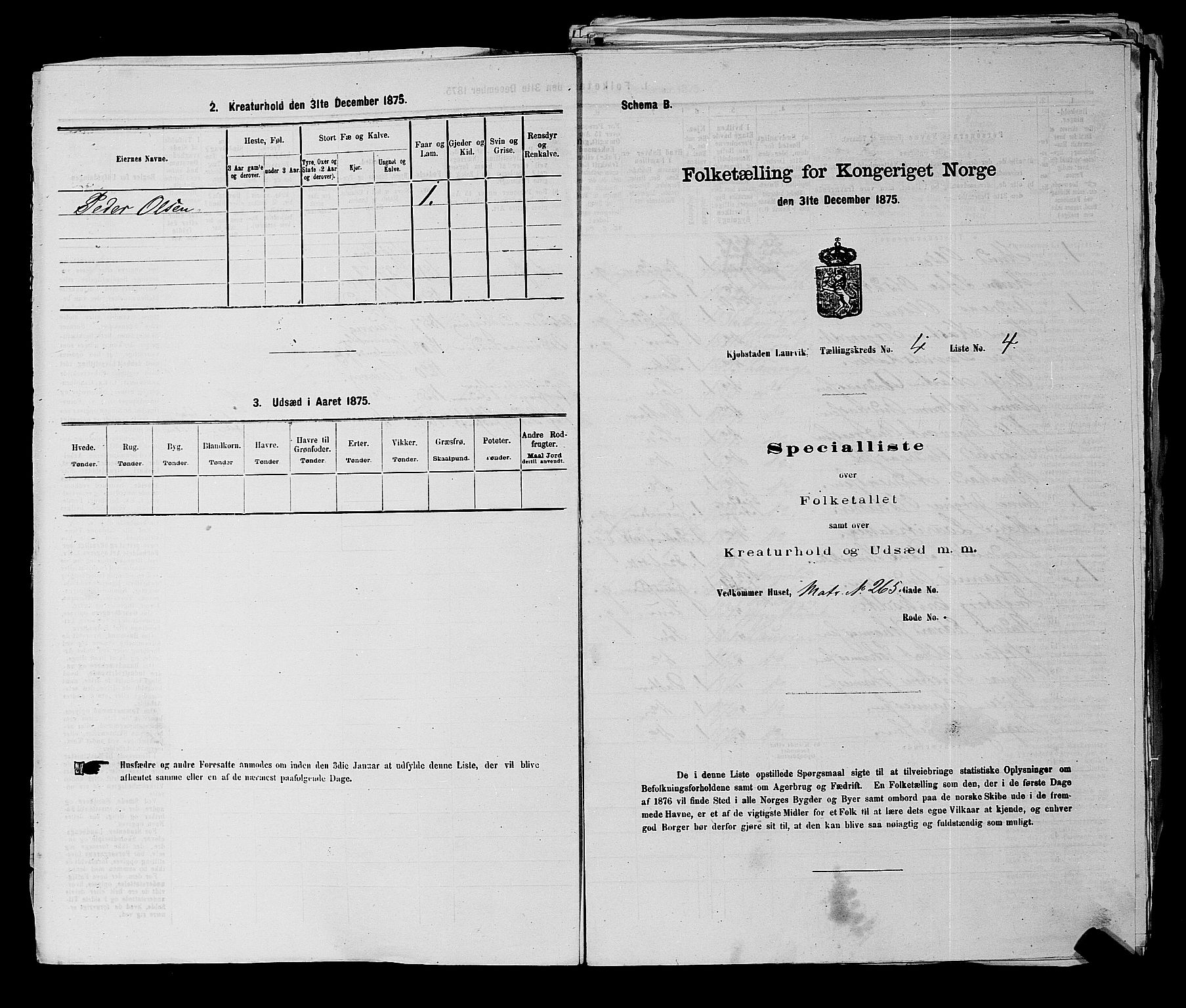 SAKO, 1875 census for 0707P Larvik, 1875, p. 767