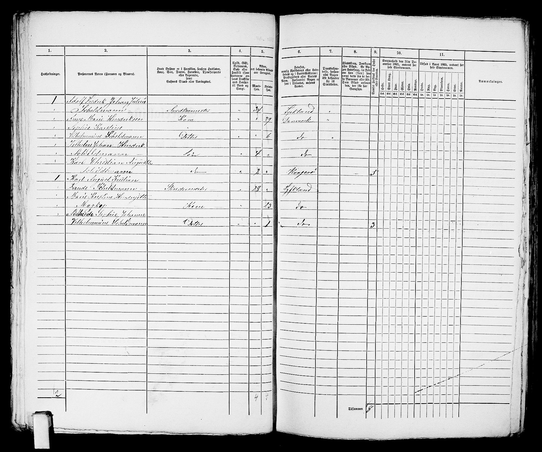 RA, 1865 census for Kragerø/Kragerø, 1865, p. 696