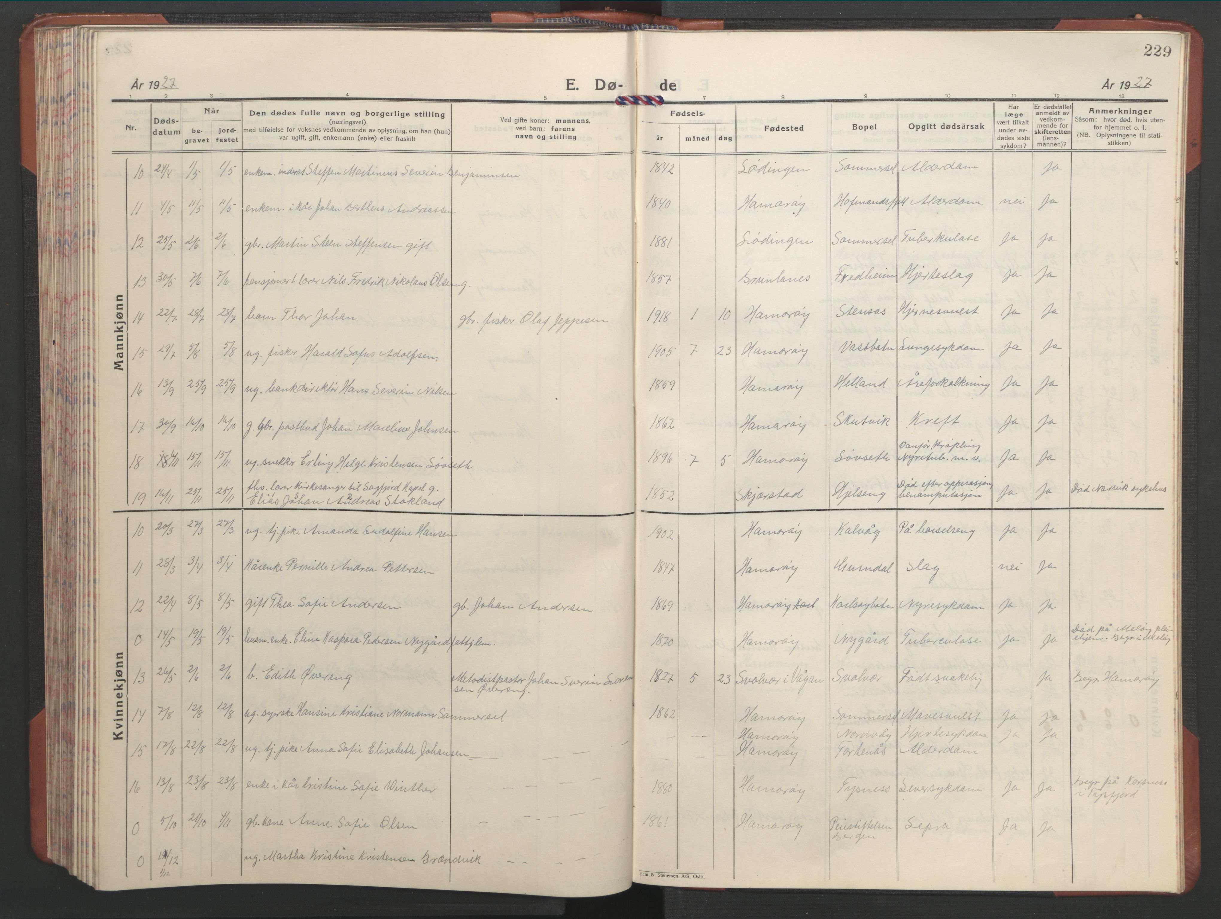 Ministerialprotokoller, klokkerbøker og fødselsregistre - Nordland, AV/SAT-A-1459/859/L0862: Parish register (copy) no. 859C08, 1925-1936, p. 229