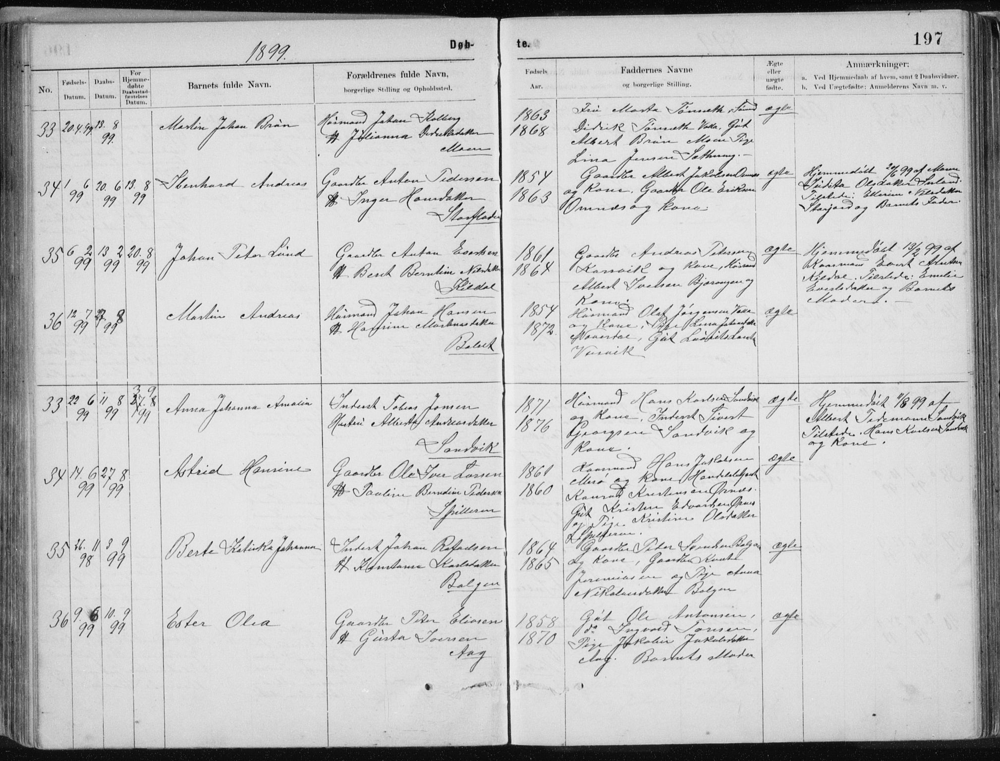 Ministerialprotokoller, klokkerbøker og fødselsregistre - Nordland, SAT/A-1459/843/L0636: Parish register (copy) no. 843C05, 1884-1909, p. 197