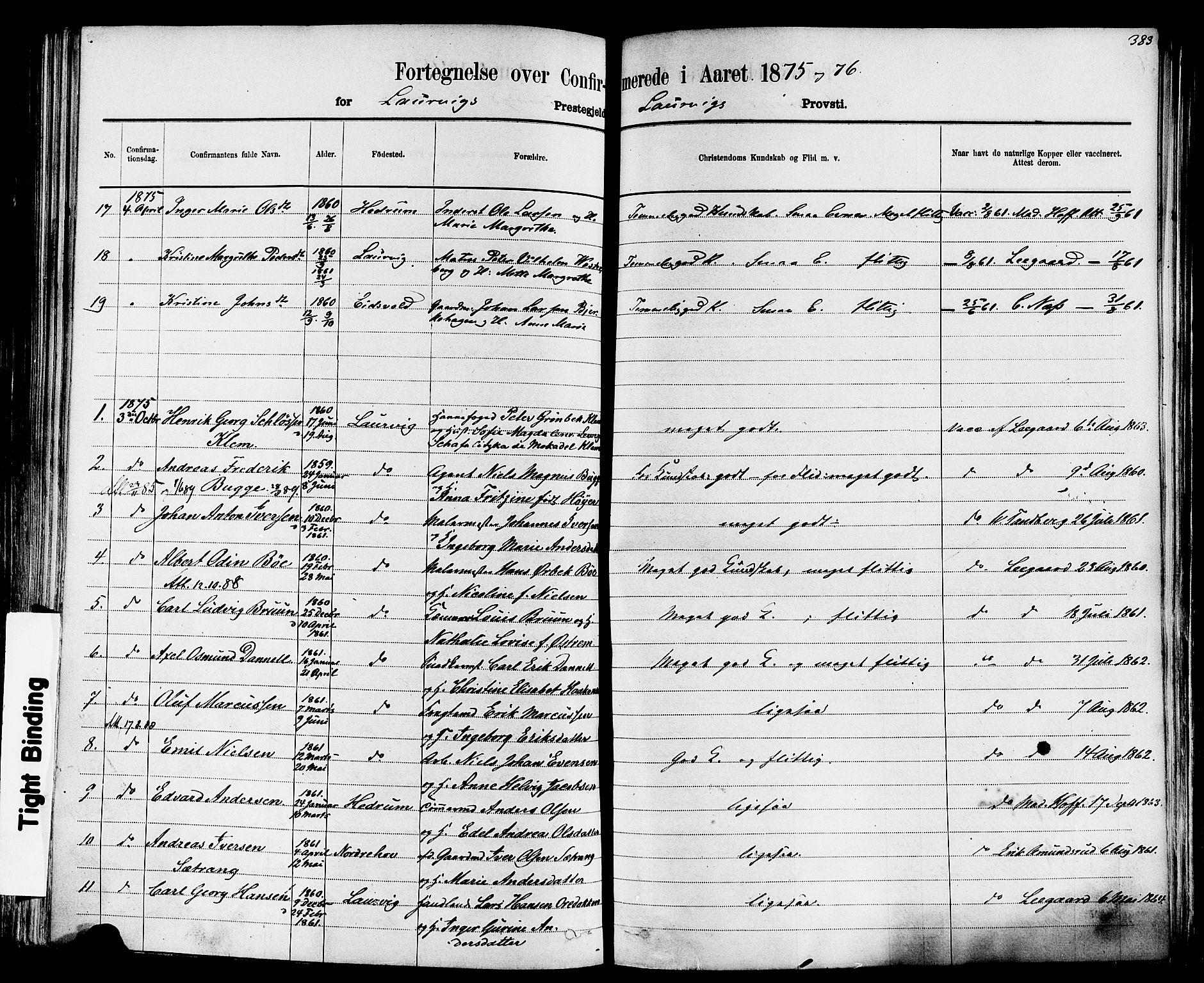 Larvik kirkebøker, AV/SAKO-A-352/F/Fa/L0006: Parish register (official) no. I 6, 1871-1883, p. 383