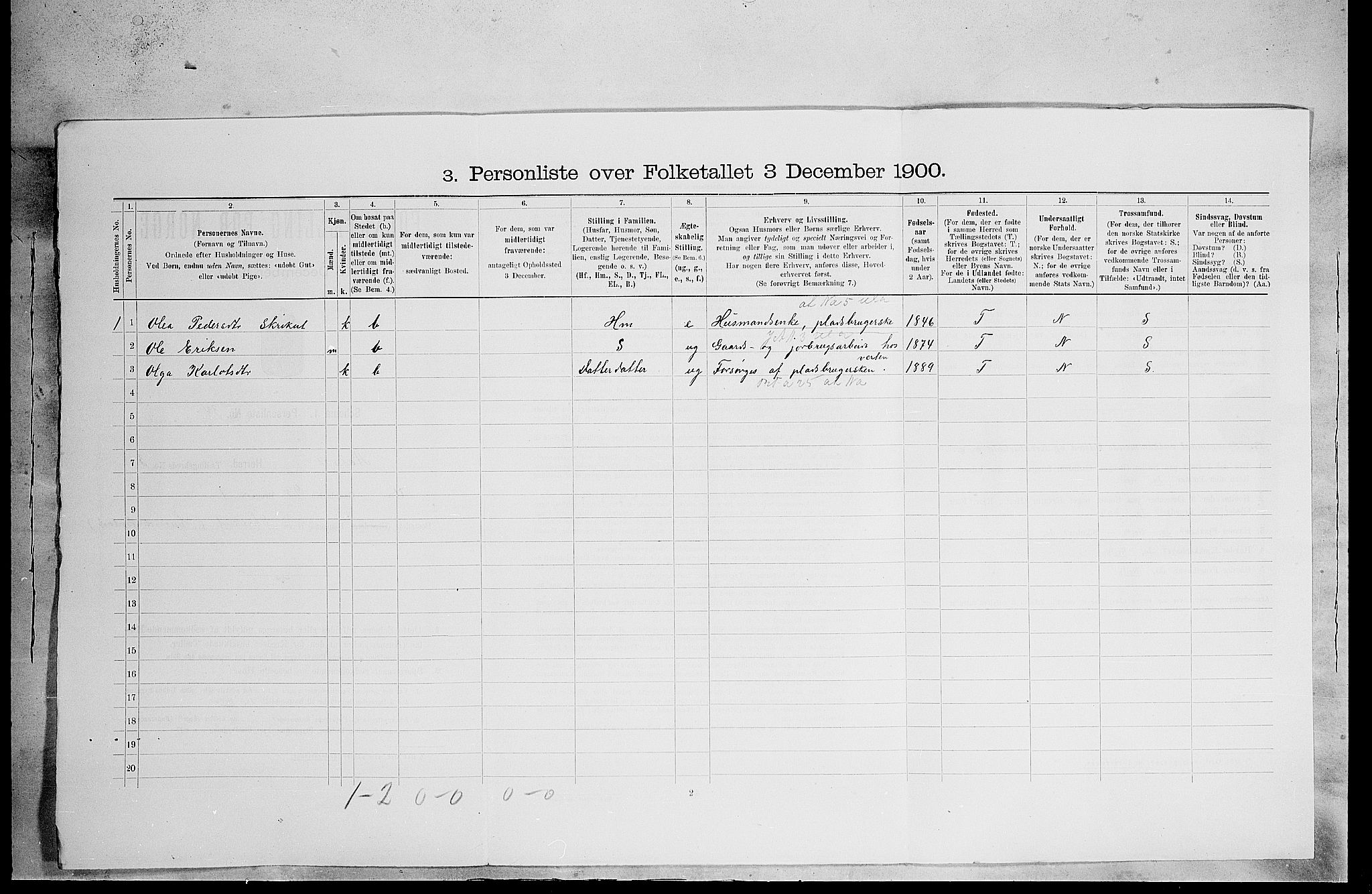 SAH, 1900 census for Åsnes, 1900, p. 489