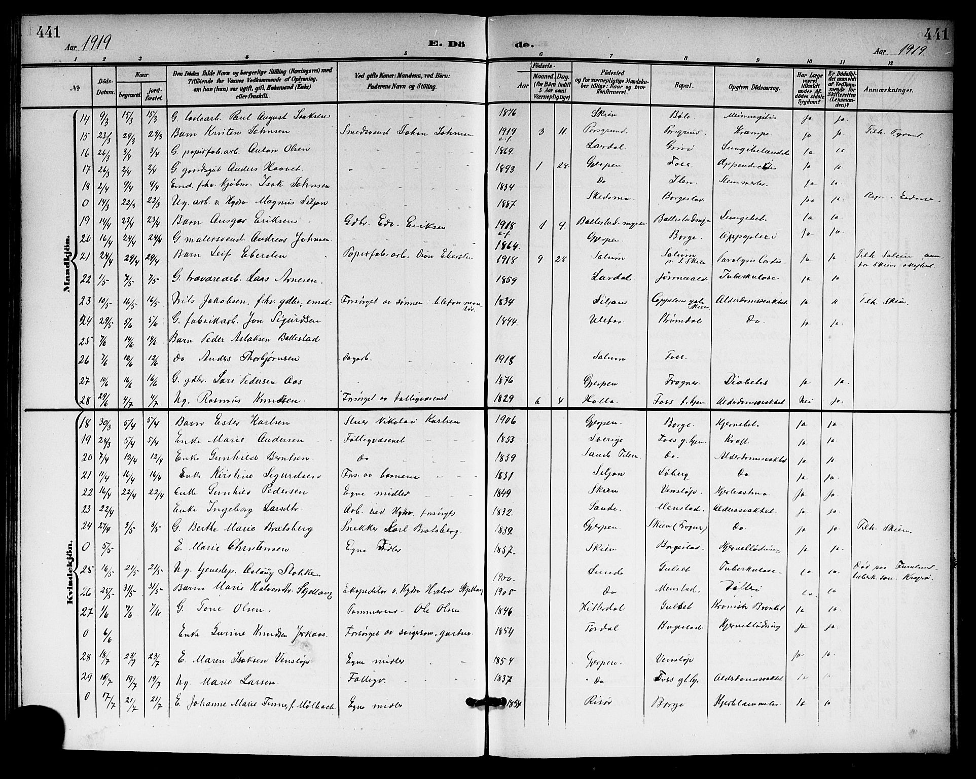 Gjerpen kirkebøker, SAKO/A-265/G/Ga/L0003: Parish register (copy) no. I 3, 1901-1919, p. 441