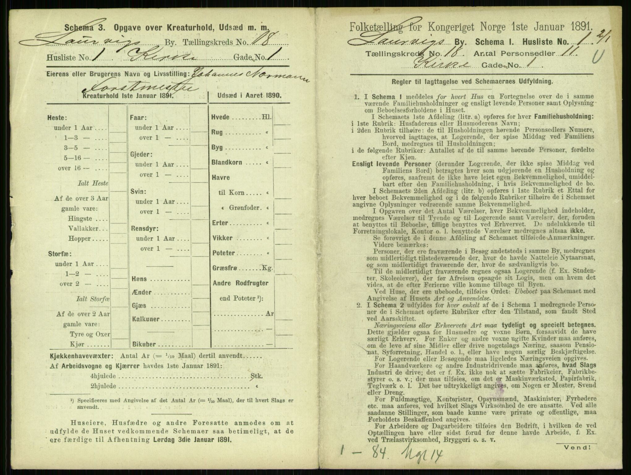 RA, 1891 census for 0707 Larvik, 1891, p. 2101