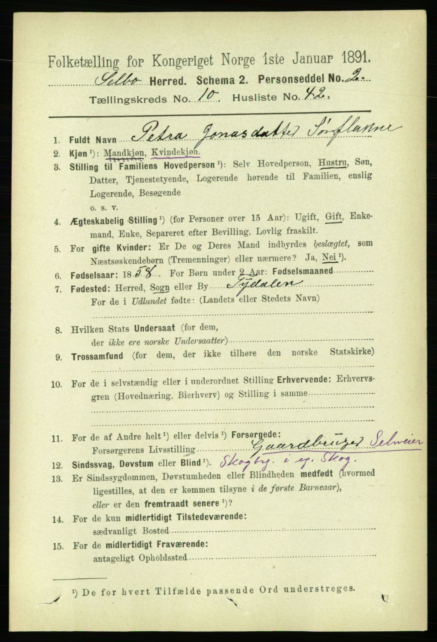 RA, 1891 census for 1664 Selbu, 1891, p. 3920