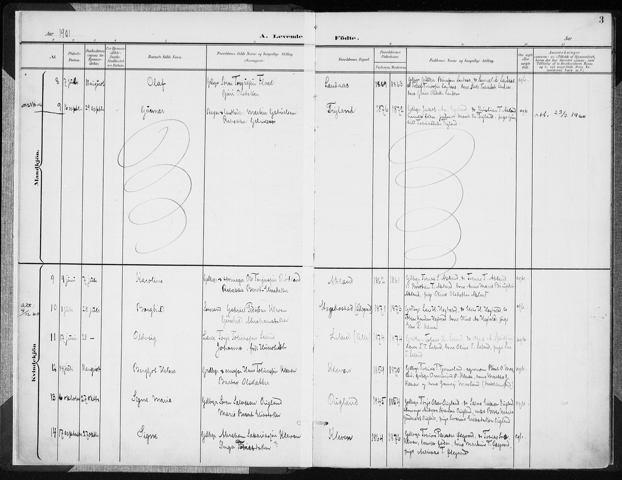 Nord-Audnedal sokneprestkontor, SAK/1111-0032/F/Fa/Fab/L0004: Parish register (official) no. A 4, 1901-1917, p. 3