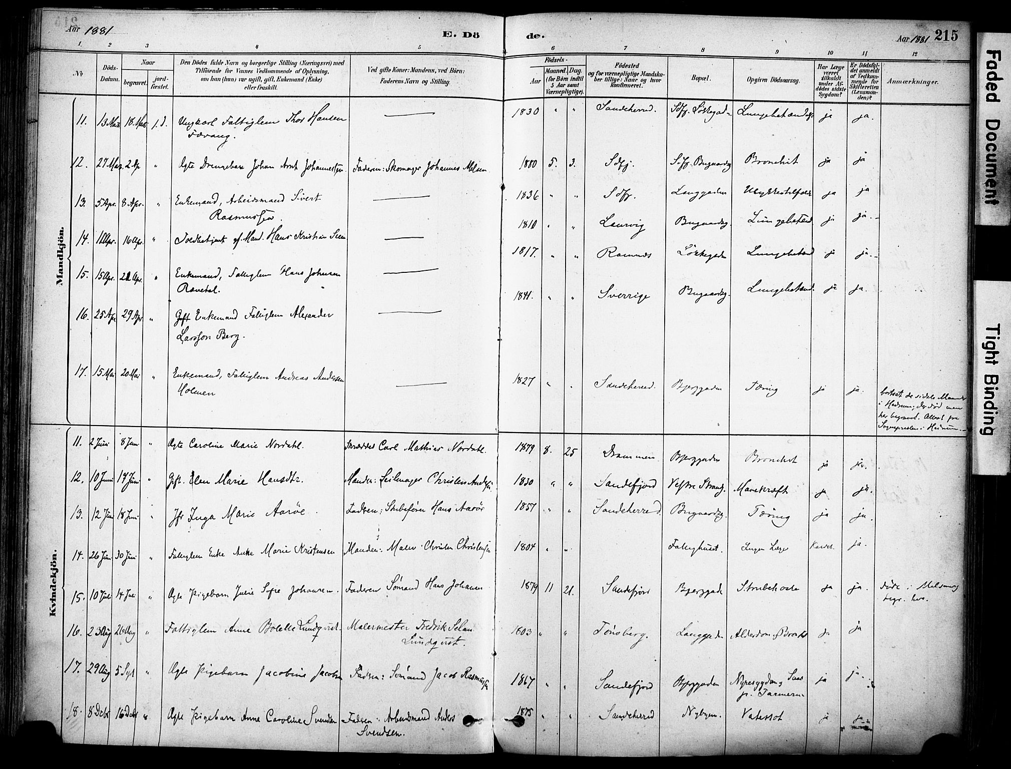 Sandefjord kirkebøker, AV/SAKO-A-315/F/Fa/L0002: Parish register (official) no. 2, 1880-1894, p. 215