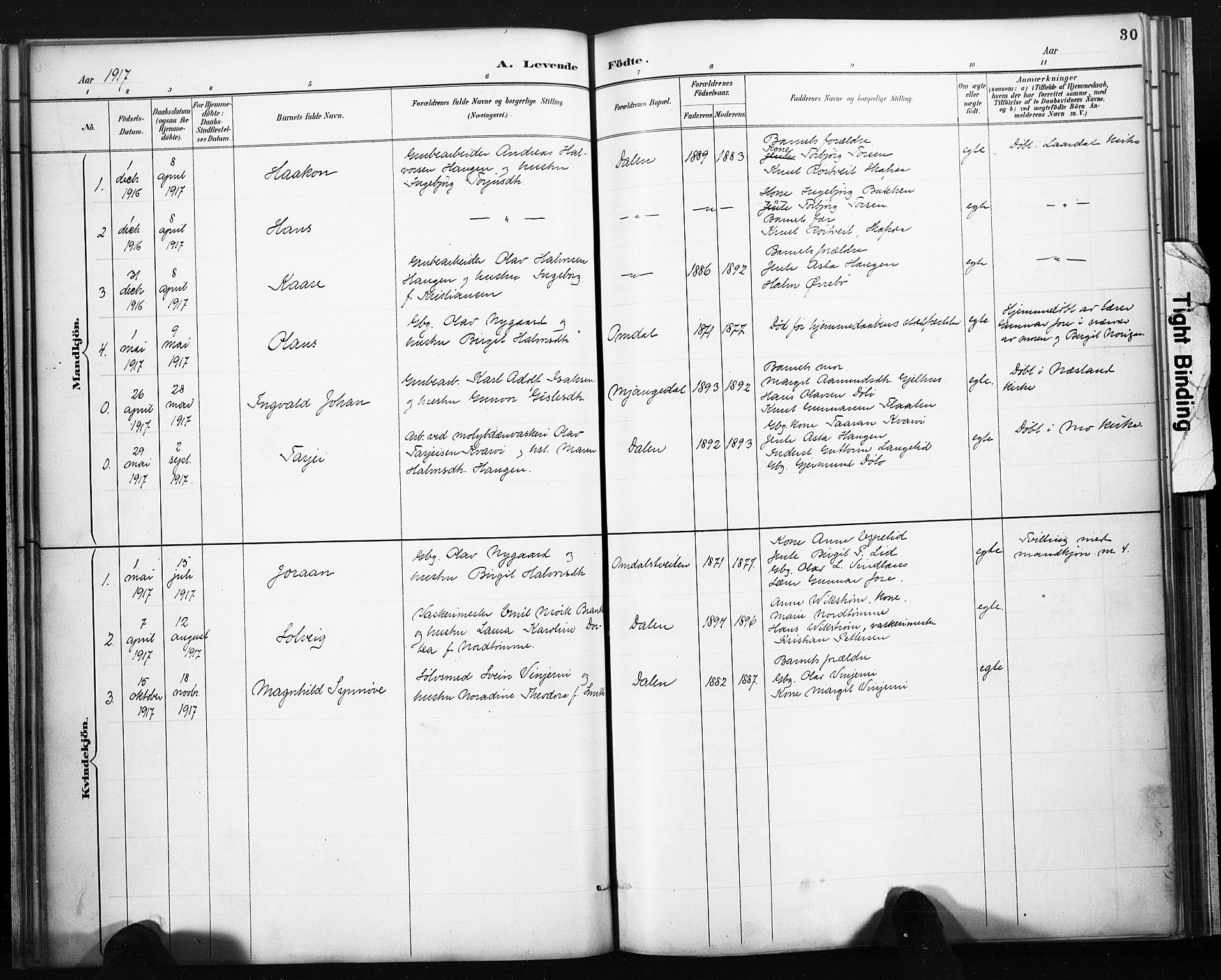 Lårdal kirkebøker, SAKO/A-284/F/Fb/L0002: Parish register (official) no. II 2, 1887-1918, p. 30