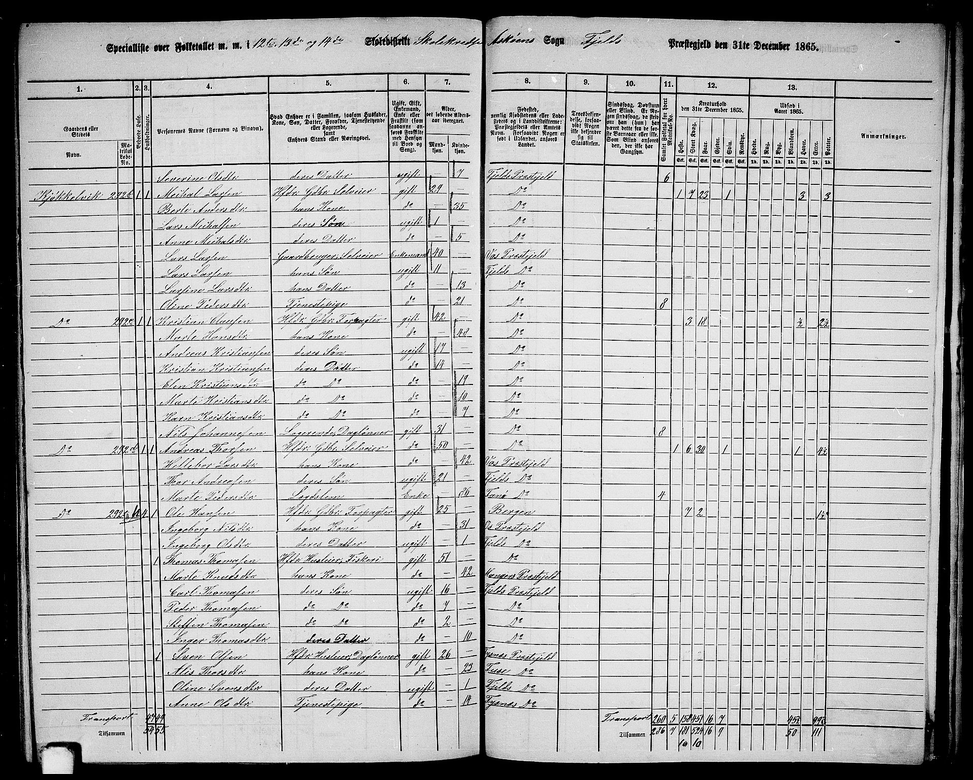 RA, 1865 census for Fjell, 1865, p. 253