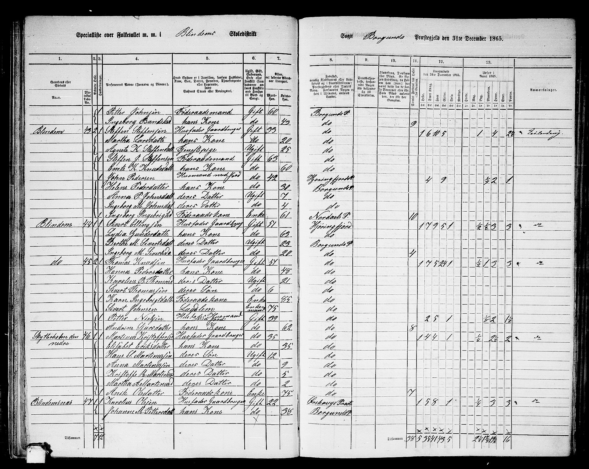 RA, 1865 census for Borgund, 1865, p. 30