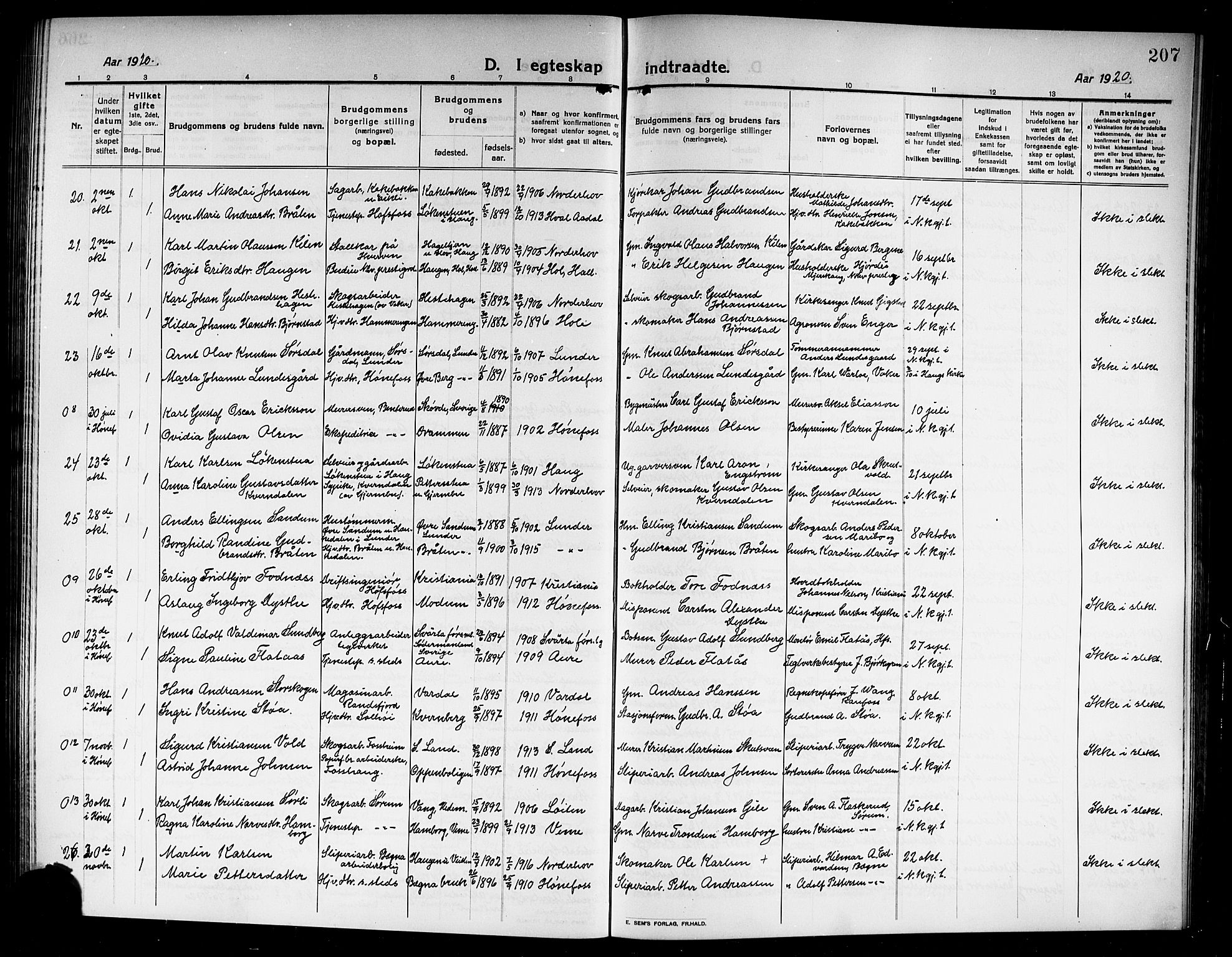 Norderhov kirkebøker, AV/SAKO-A-237/G/Ga/L0009: Parish register (copy) no. I 9, 1913-1920, p. 207