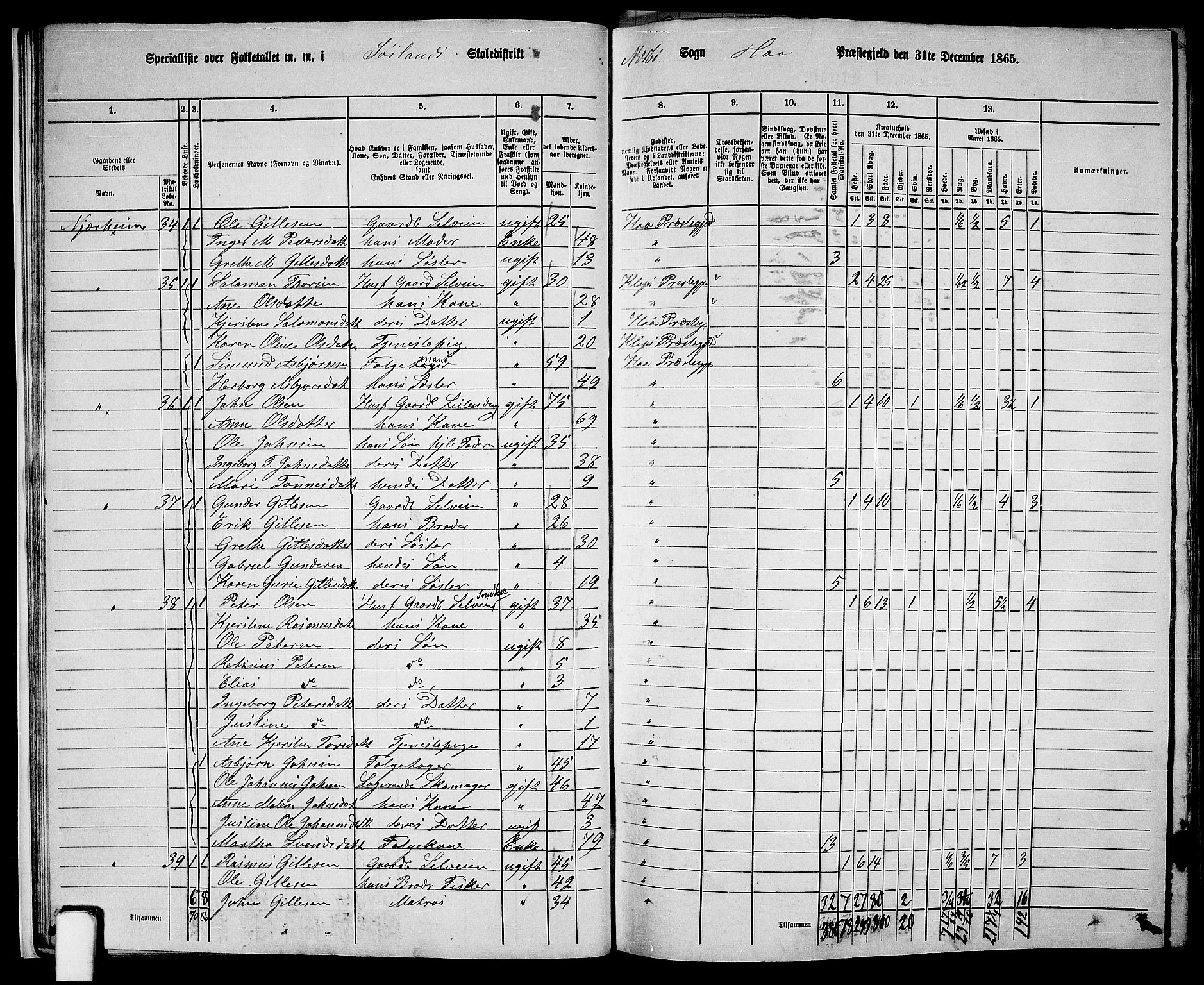 RA, 1865 census for Hå, 1865, p. 22