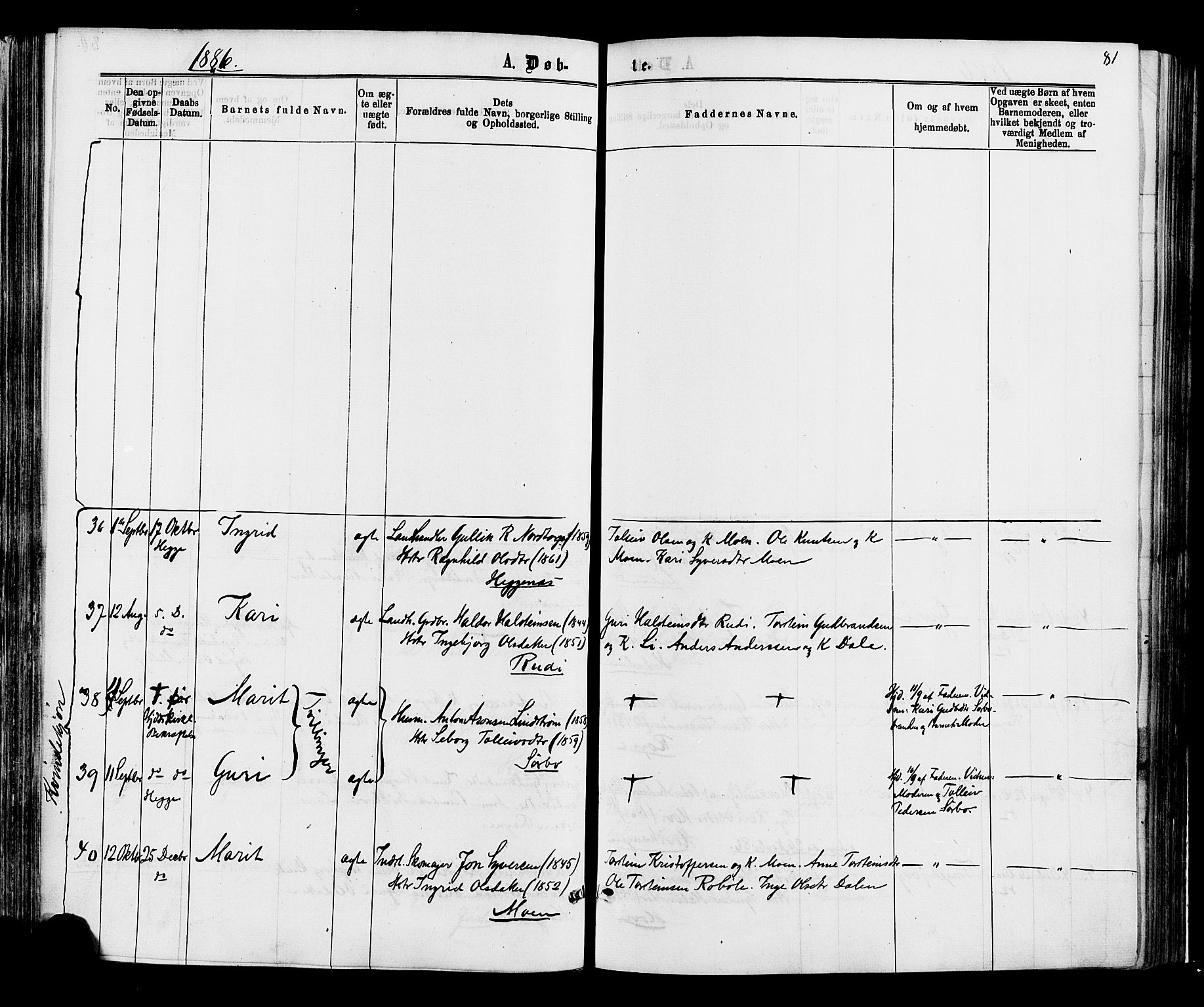 Øystre Slidre prestekontor, AV/SAH-PREST-138/H/Ha/Haa/L0002: Parish register (official) no. 2, 1874-1886, p. 81