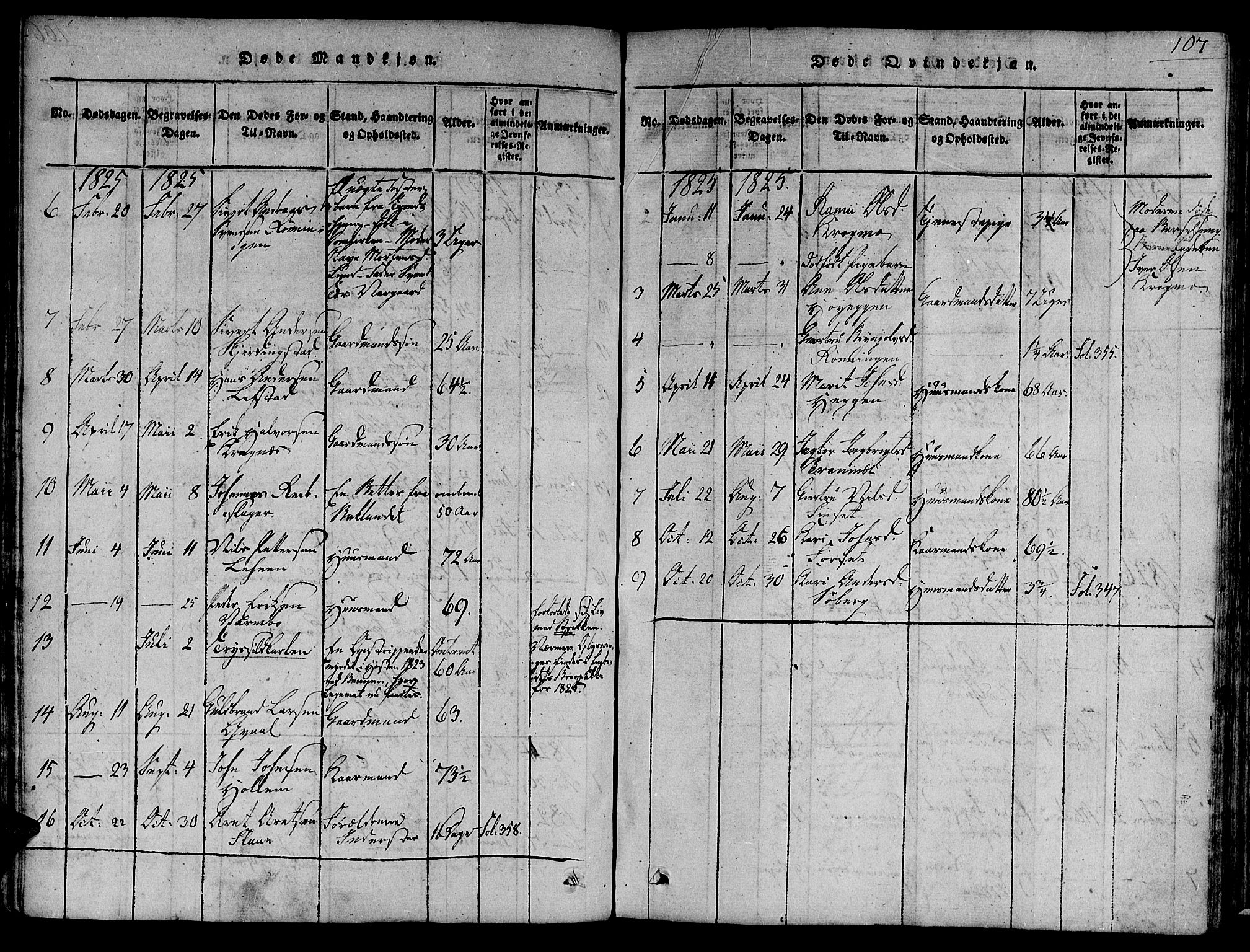 Ministerialprotokoller, klokkerbøker og fødselsregistre - Sør-Trøndelag, SAT/A-1456/691/L1065: Parish register (official) no. 691A03 /1, 1816-1826, p. 107