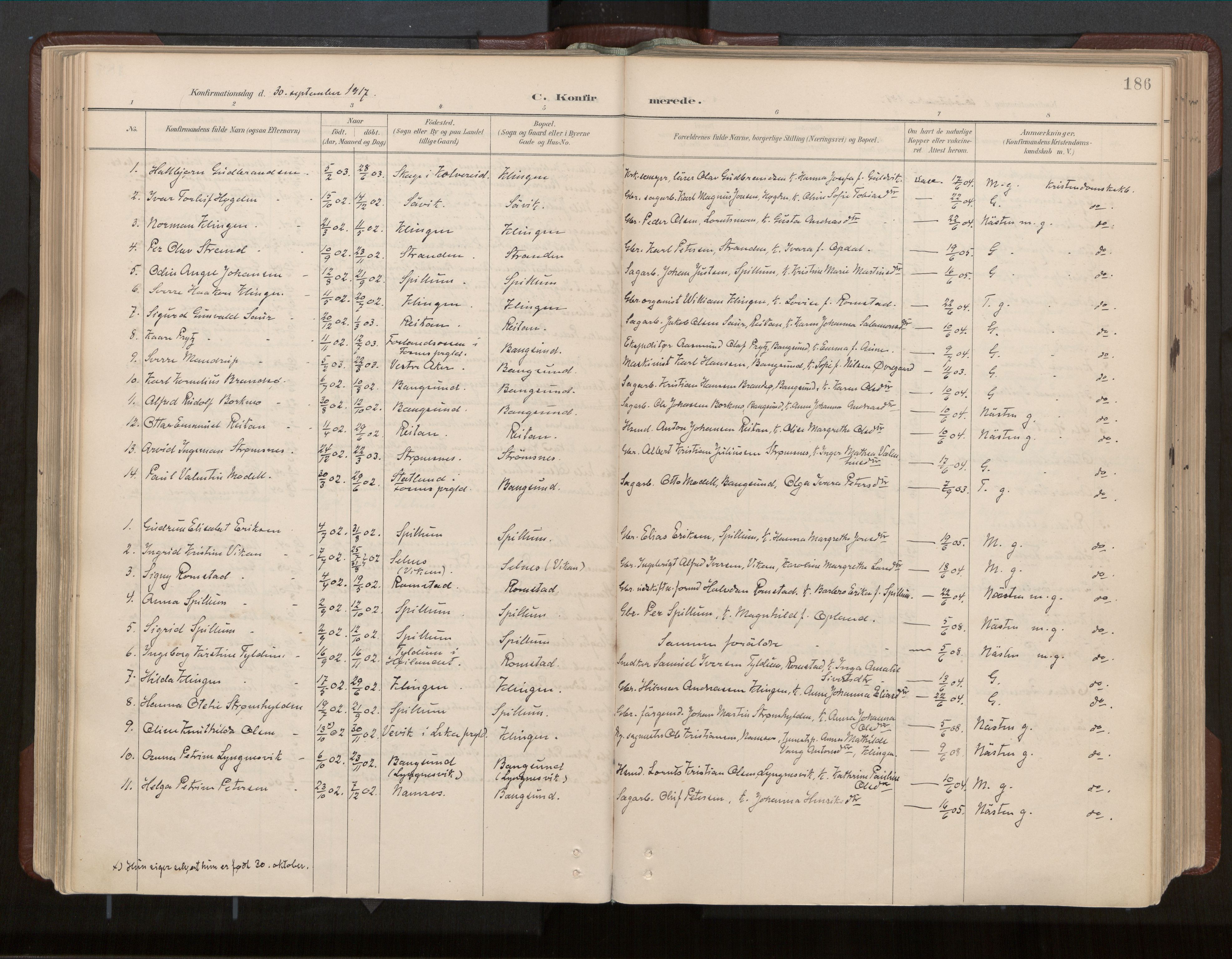 Ministerialprotokoller, klokkerbøker og fødselsregistre - Nord-Trøndelag, SAT/A-1458/770/L0589: Parish register (official) no. 770A03, 1887-1929, p. 186