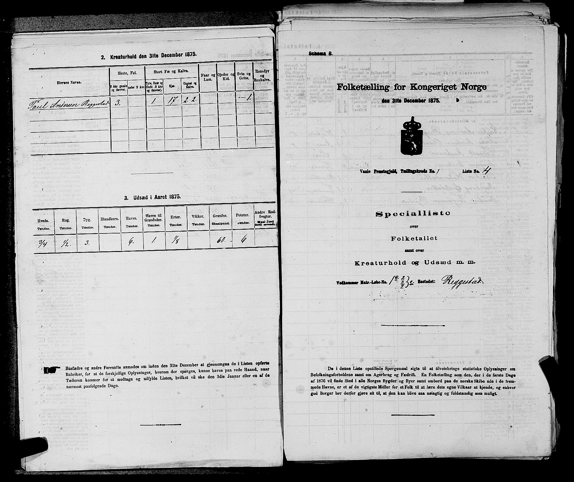 SAKO, 1875 census for 0716P Våle, 1875, p. 43