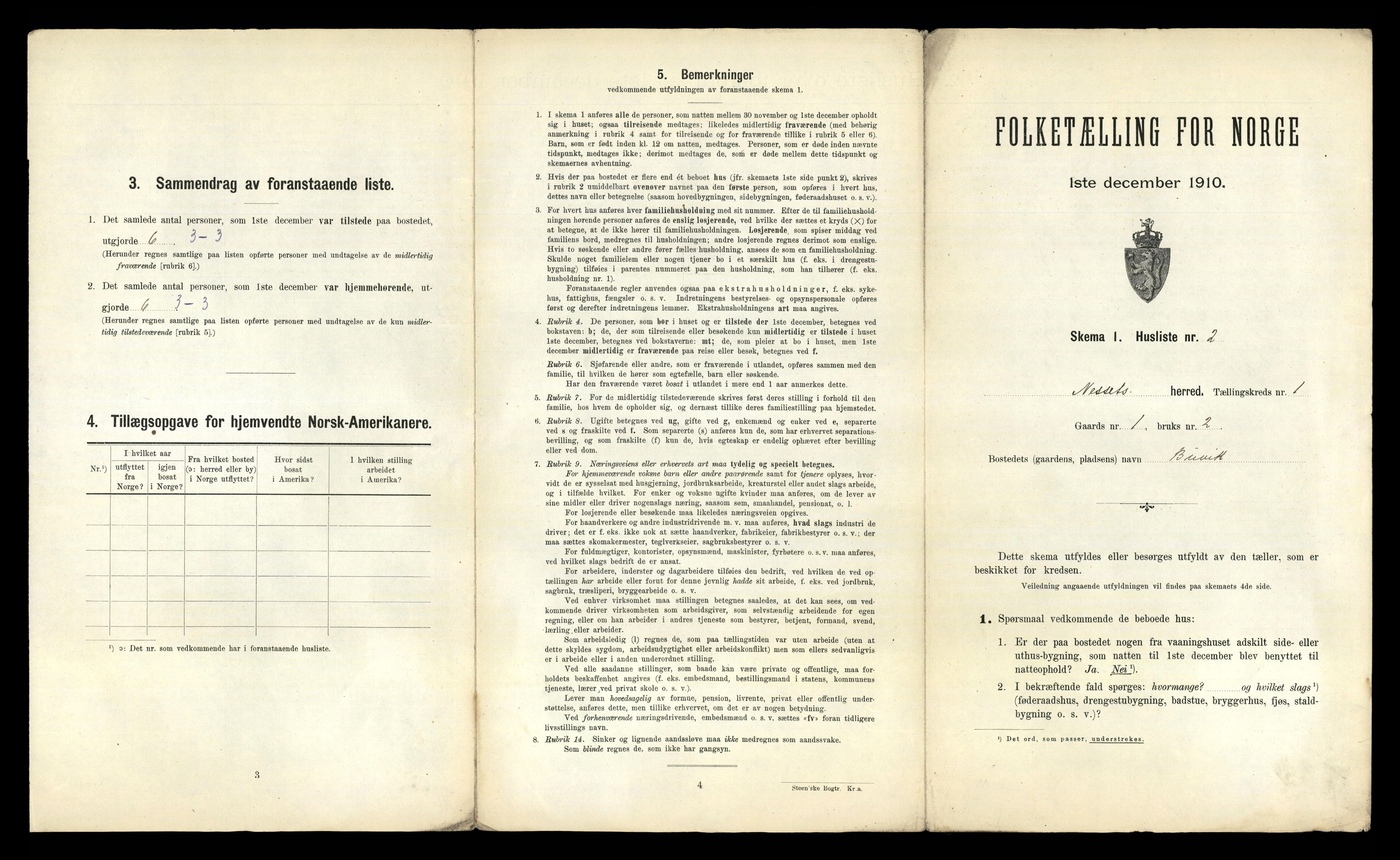 RA, 1910 census for Nesset, 1910, p. 29