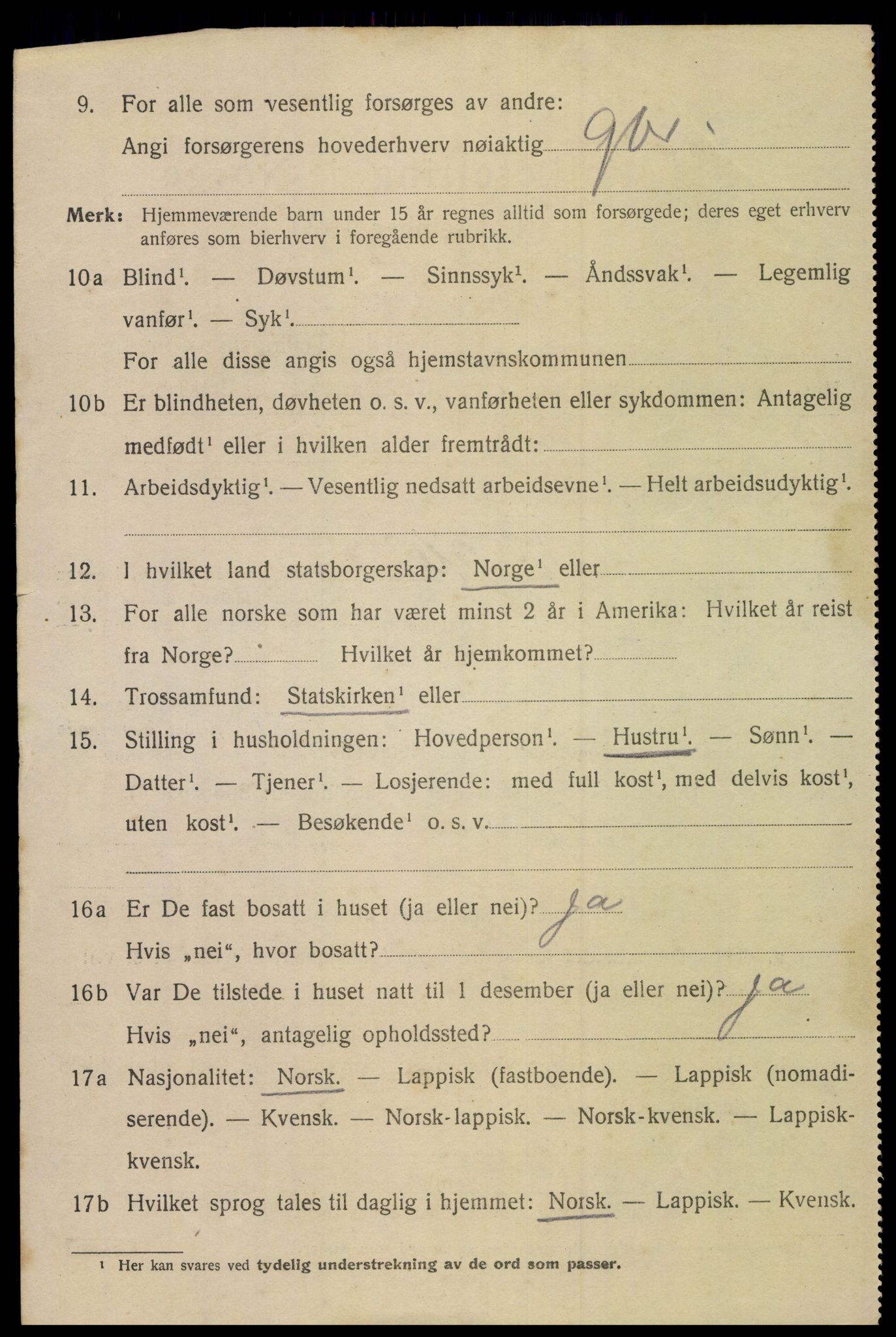 SAT, 1920 census for Bodin, 1920, p. 12849