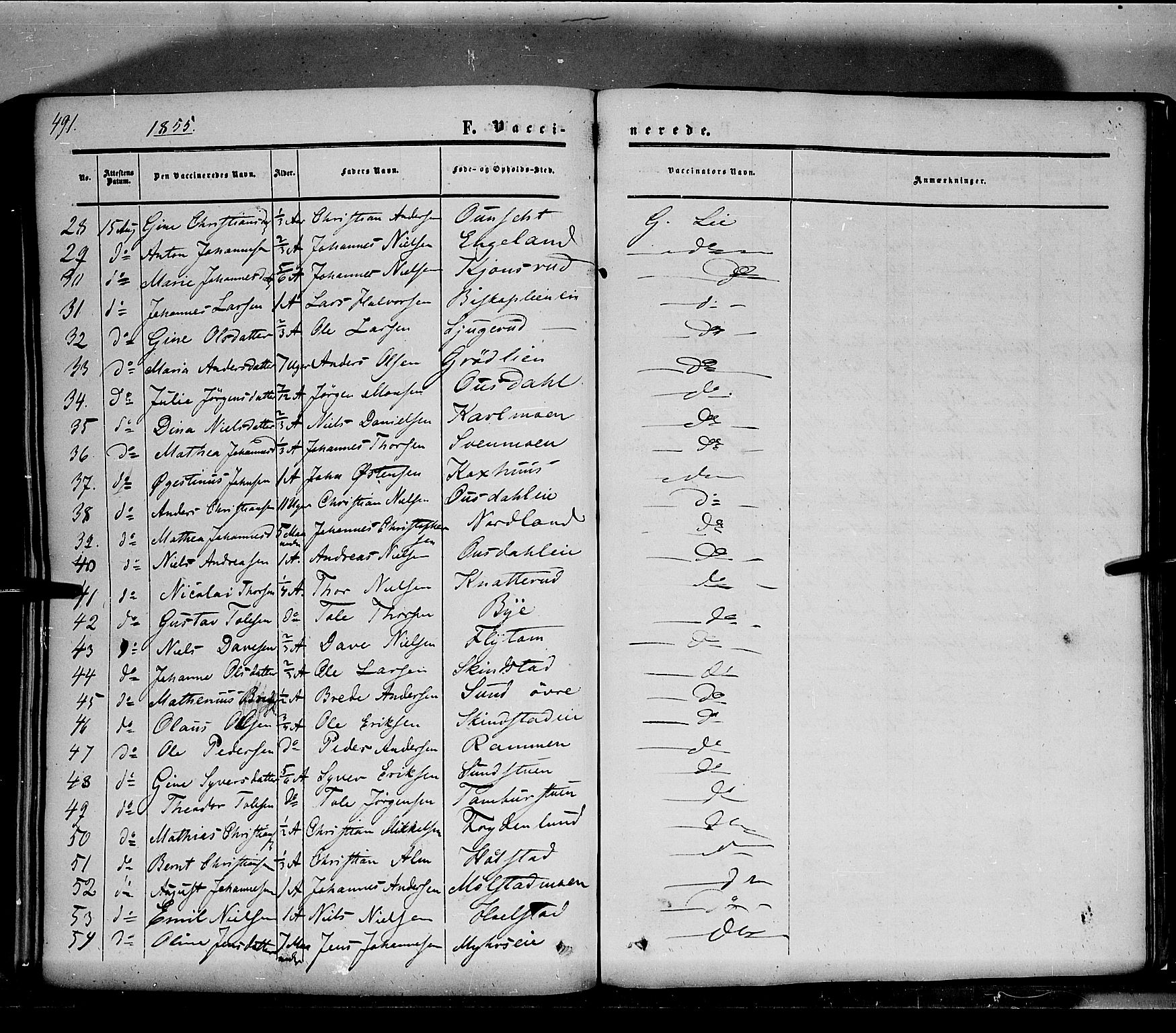 Nes prestekontor, Hedmark, SAH/PREST-020/K/Ka/L0004: Parish register (official) no. 4, 1852-1886, p. 491