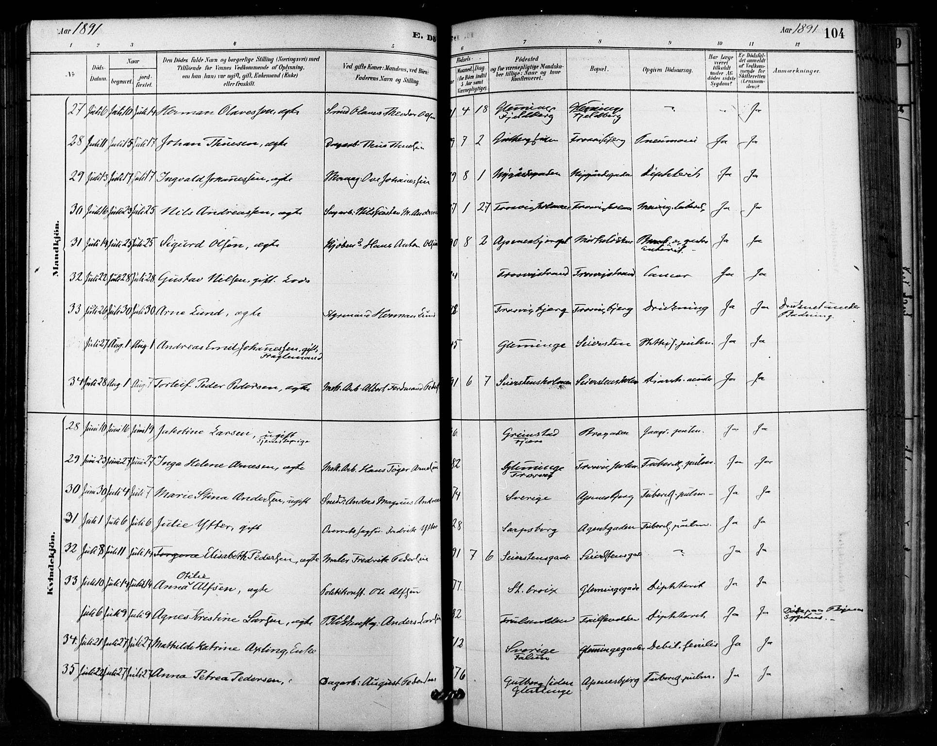 Fredrikstad domkirkes prestekontor Kirkebøker, SAO/A-10906/F/Fa/L0003: Parish register (official) no. 3, 1878-1904, p. 104